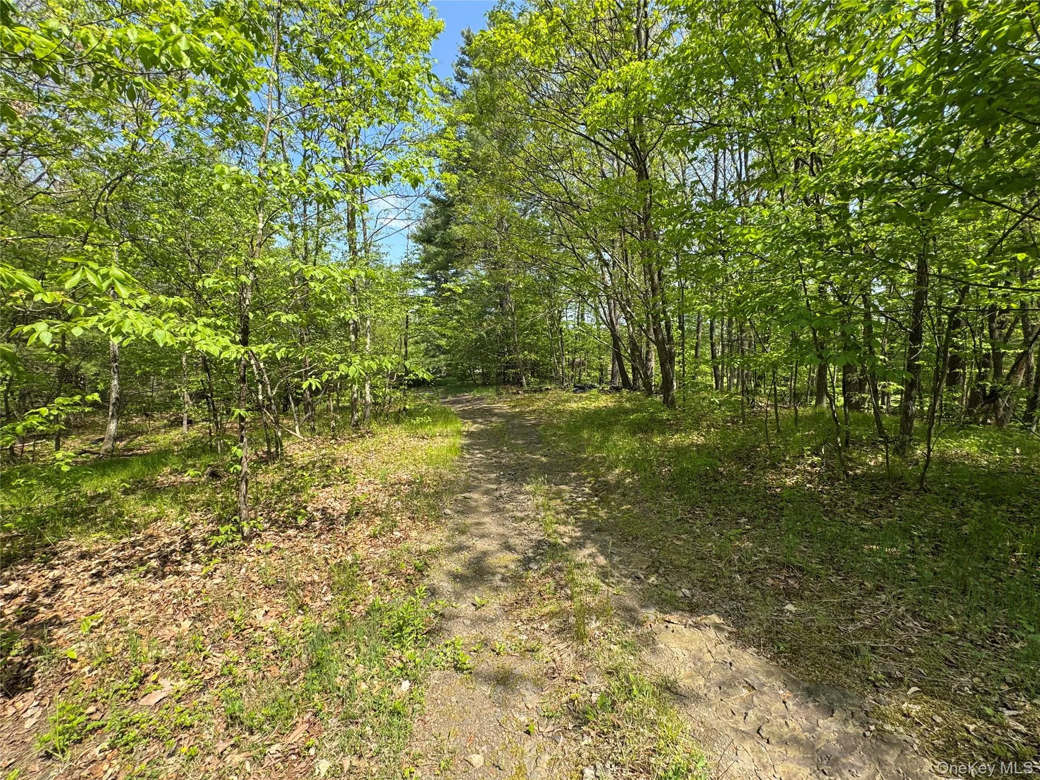 TBD Bill Matter Road, Coxsackie, NY, ,Land,For Rent,Bill Matter,0,1005044 TBD Bill Matter Road, Coxsackie, NY, ,Land,For Rent,Bill Matter,0,1005044
