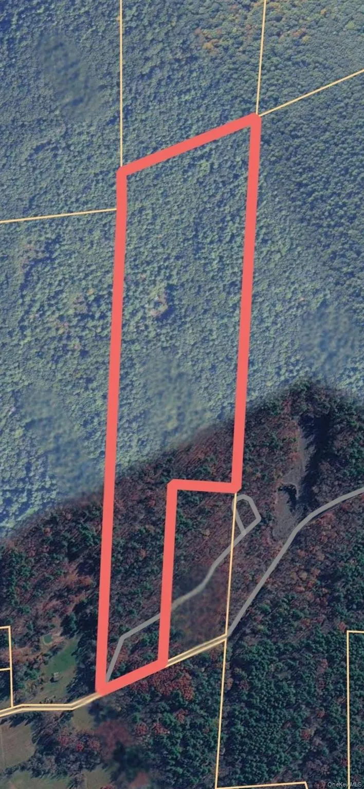 TBD Bill Matter Road, Coxsackie, NY, ,Land,For Rent,Bill Matter,0,1005044 TBD Bill Matter Road, Coxsackie, NY, ,Land,For Rent,Bill Matter,0,1005044