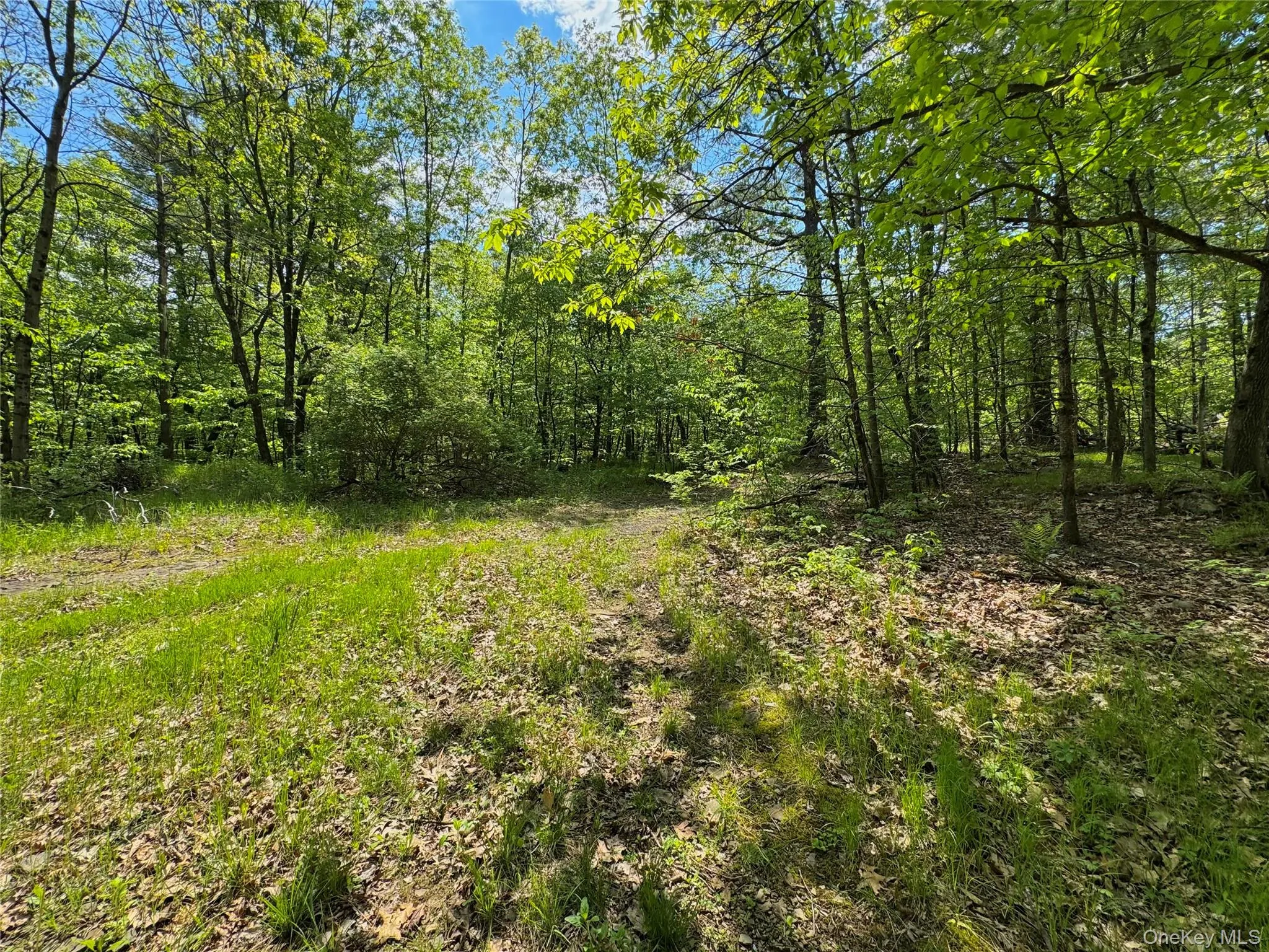 TBD Bill Matter Road, Coxsackie, NY, ,Land,For Rent,Bill Matter,0,1005044 TBD Bill Matter Road, Coxsackie, NY, ,Land,For Rent,Bill Matter,0,1005044