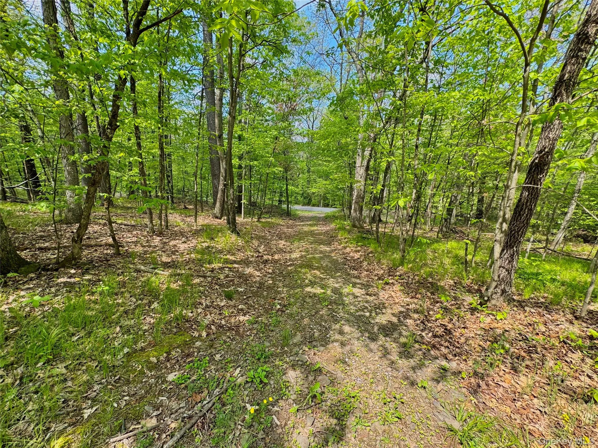 TBD Bill Matter Road, Coxsackie, NY, ,Land,For Rent,Bill Matter,0,1005044 TBD Bill Matter Road, Coxsackie, NY, ,Land,For Rent,Bill Matter,0,1005044