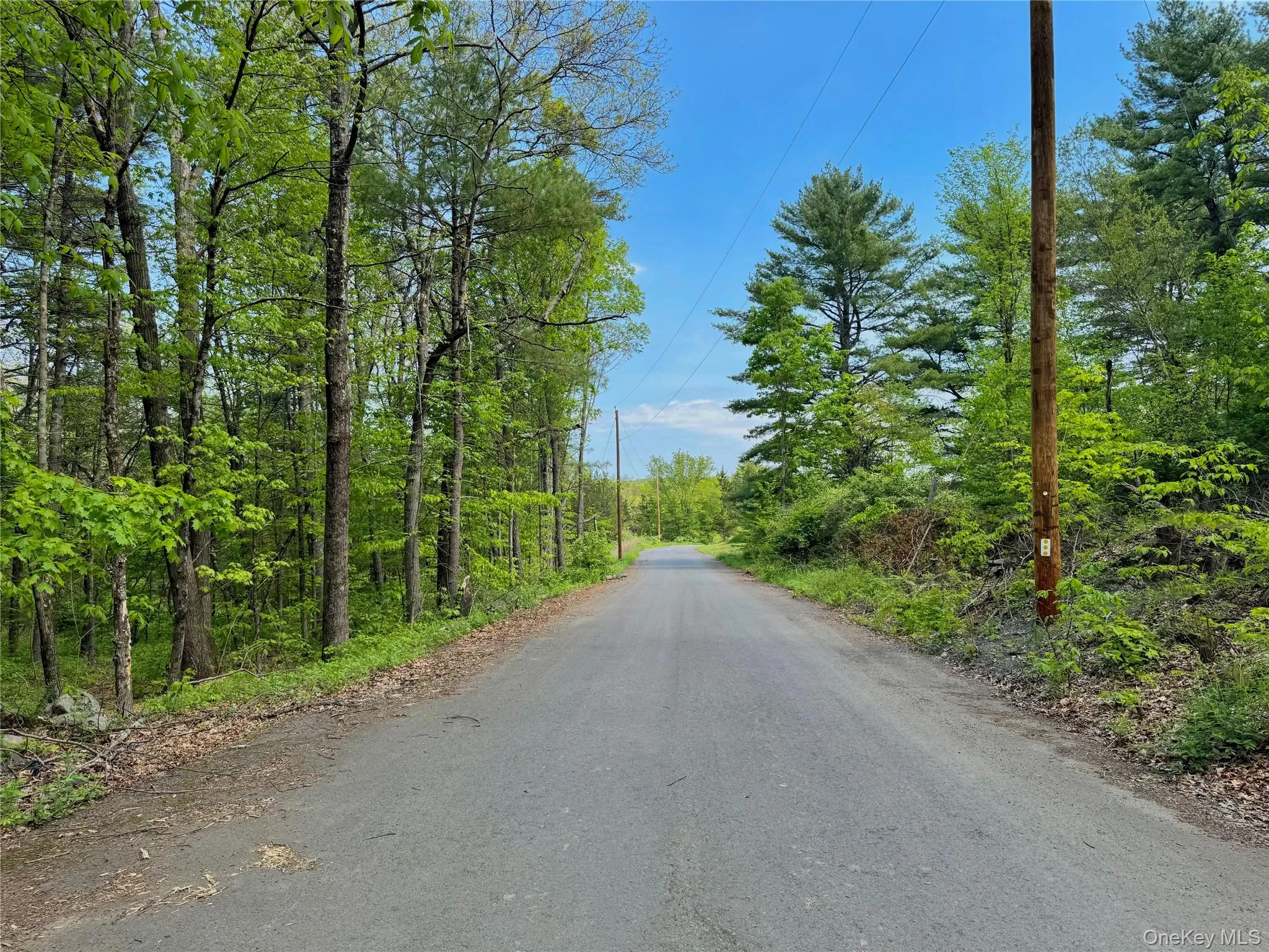 TBD Bill Matter Road, Coxsackie, NY, ,Land,For Rent,Bill Matter,0,1005044 TBD Bill Matter Road, Coxsackie, NY, ,Land,For Rent,Bill Matter,0,1005044