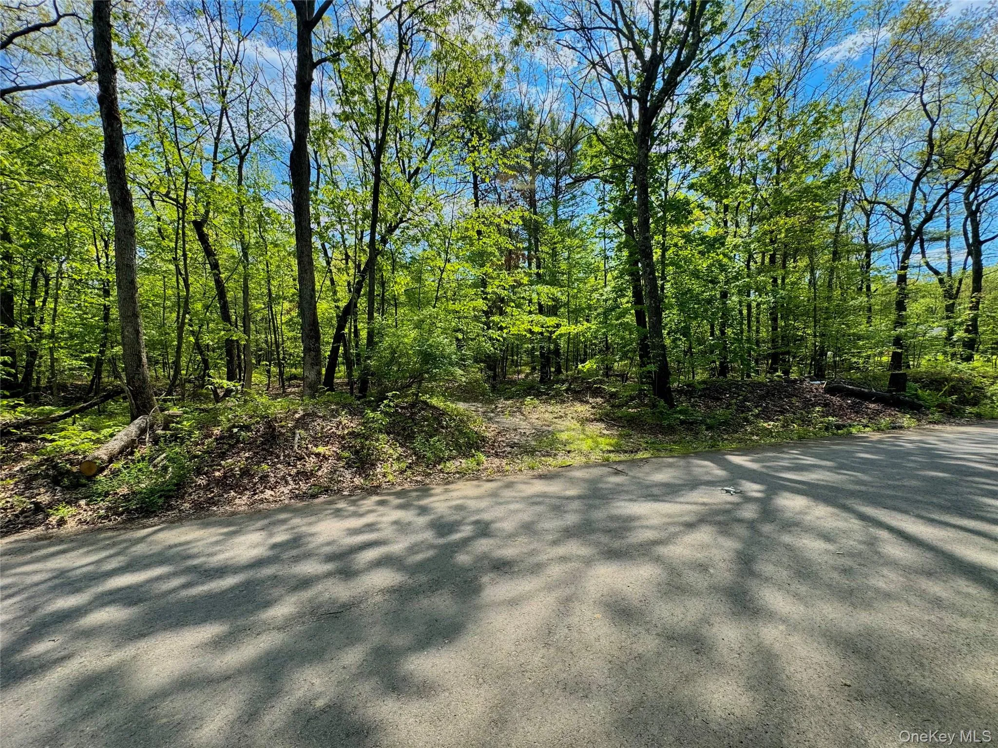TBD Bill Matter Road, Coxsackie, NY, ,Land,For Rent,Bill Matter,0,1005044 TBD Bill Matter Road, Coxsackie, NY, ,Land,For Rent,Bill Matter,0,1005044