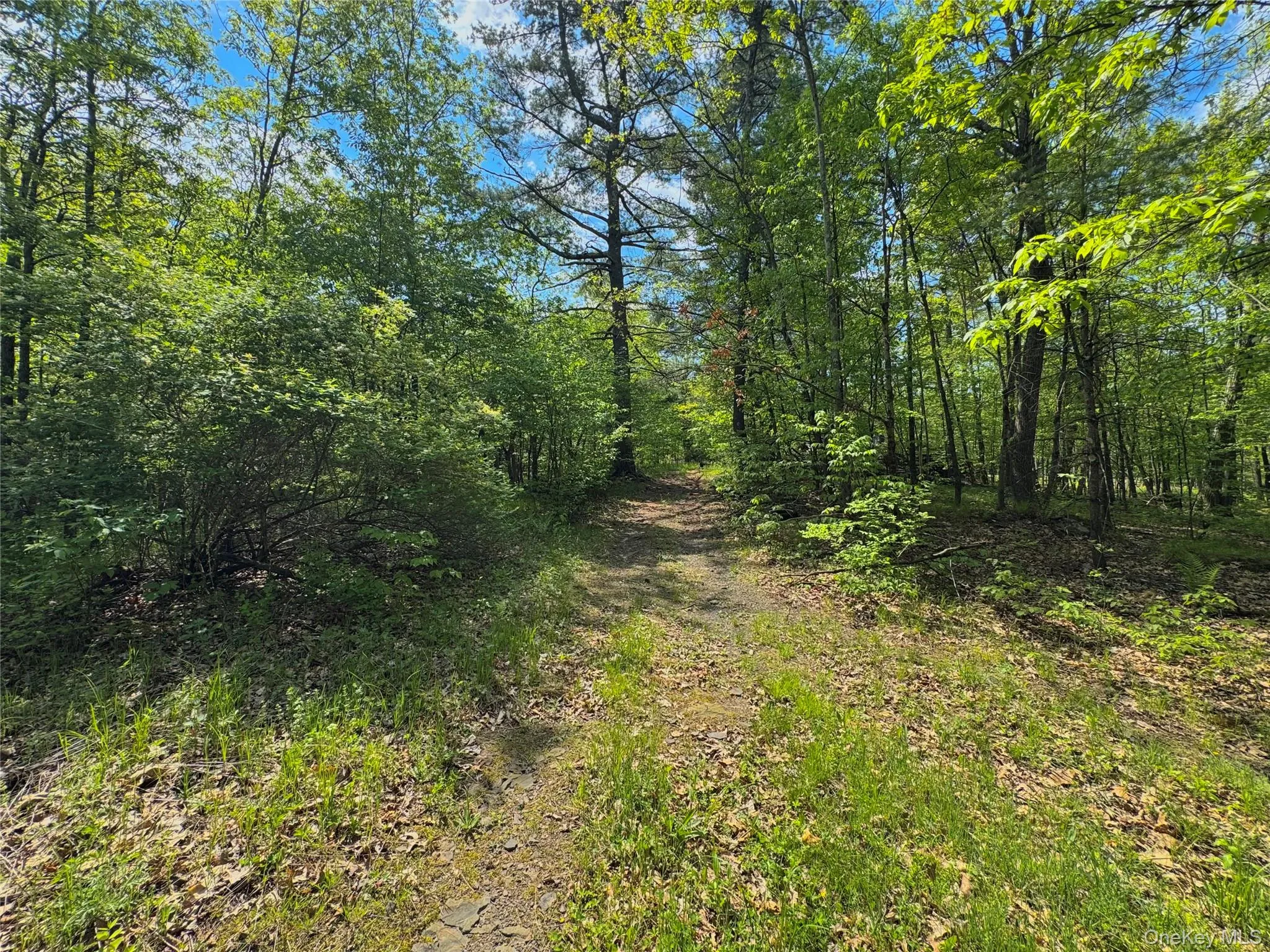 TBD Bill Matter Road, Coxsackie, NY, ,Land,For Rent,Bill Matter,0,1005044 TBD Bill Matter Road, Coxsackie, NY, ,Land,For Rent,Bill Matter,0,1005044