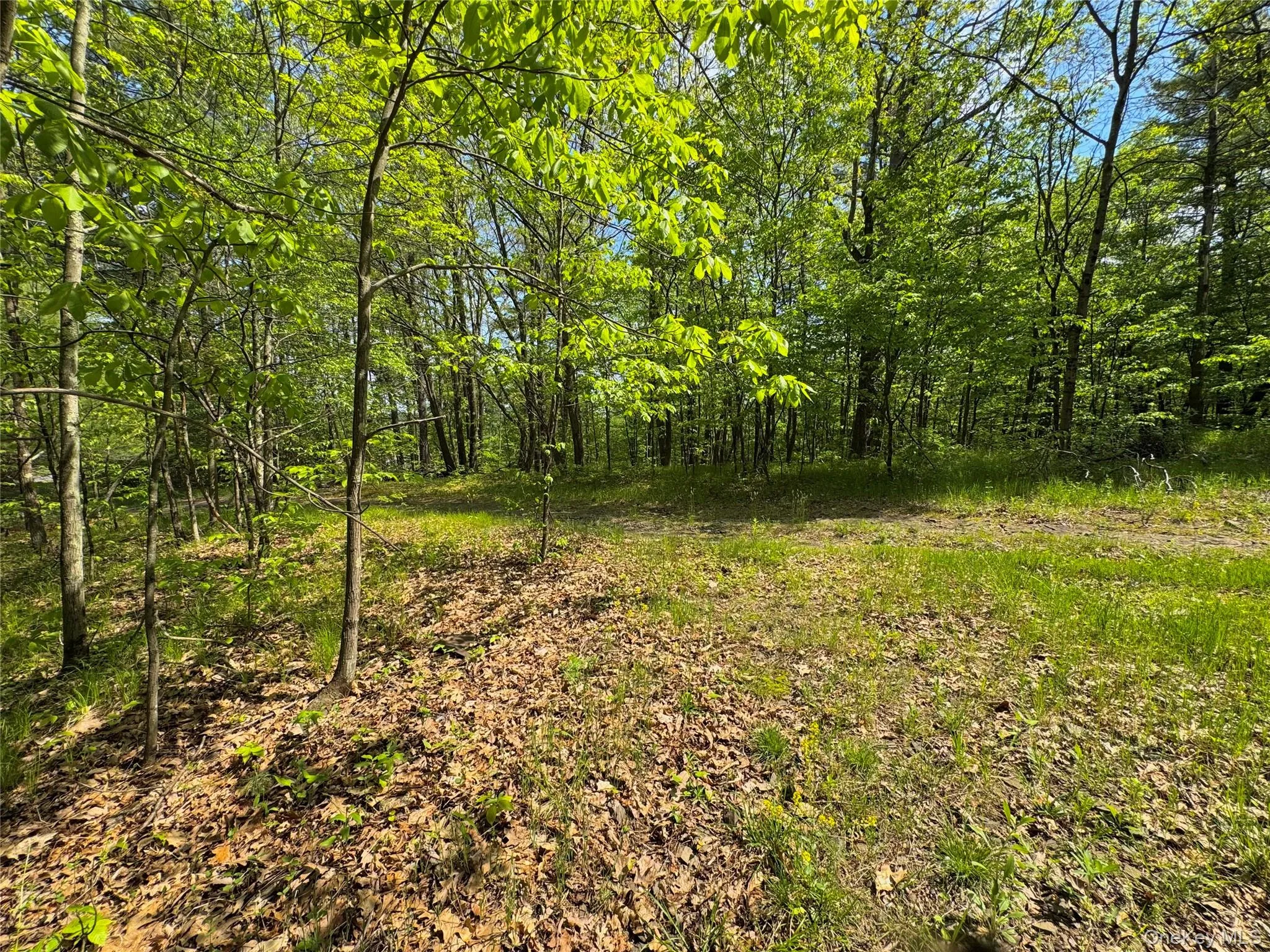 TBD Bill Matter Road, Coxsackie, NY, ,Land,For Rent,Bill Matter,0,1005044 TBD Bill Matter Road, Coxsackie, NY, ,Land,For Rent,Bill Matter,0,1005044