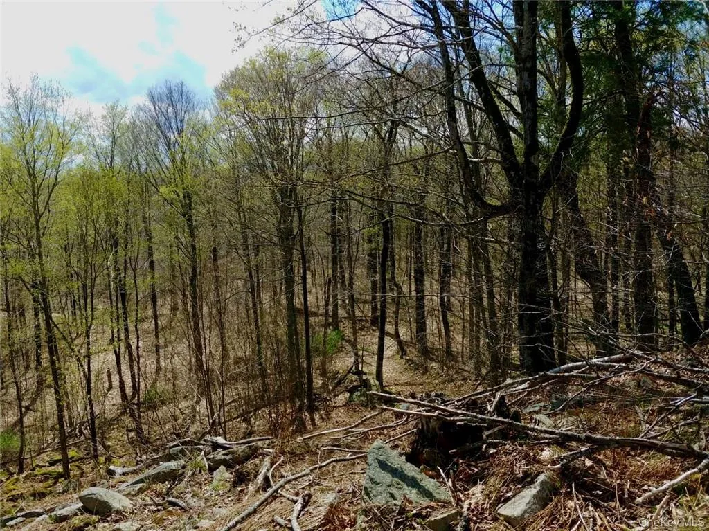 Shandelee Road, Callicoon, NY, ,Land,For Rent,Shandelee,0,1005045 Shandelee Road, Callicoon, NY, ,Land,For Rent,Shandelee,0,1005045
