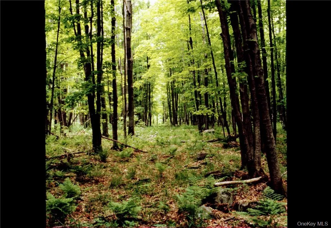 Explore the trails on 50+ acres of private property. Explore the trails on 50+ acres of private property.