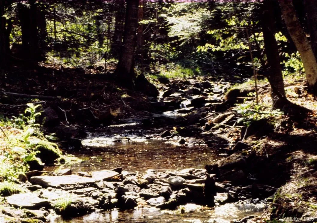 Natural fed springs run throughout. Natural fed springs run throughout.