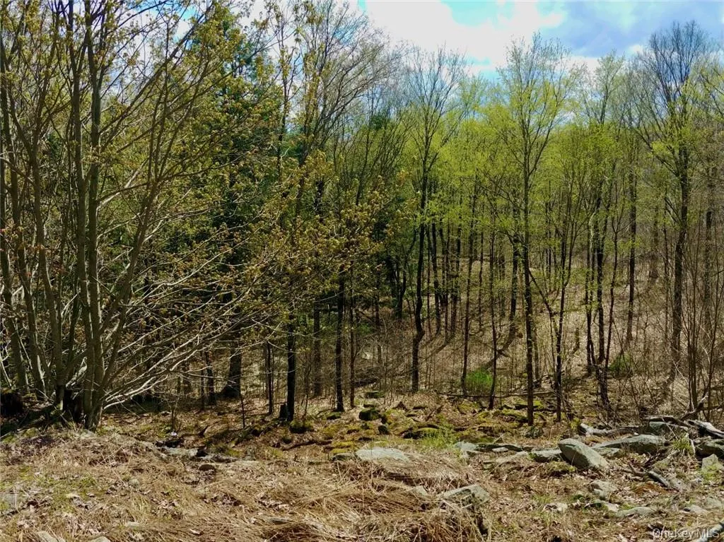 Shandelee Road, Callicoon, NY, ,Land,For Rent,Shandelee,0,1005045 Shandelee Road, Callicoon, NY, ,Land,For Rent,Shandelee,0,1005045