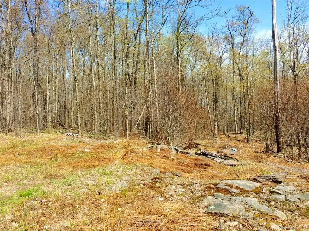 Shandelee Road, Callicoon, NY, ,Land,For Rent,Shandelee,0,1005045 Shandelee Road, Callicoon, NY, ,Land,For Rent,Shandelee,0,1005045