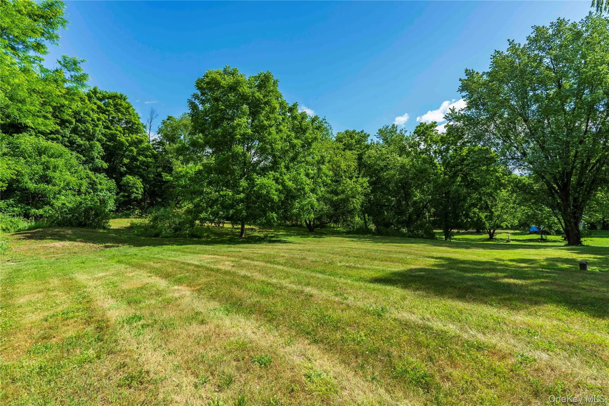 Expansive Sunny Back Yard Expansive Sunny Back Yard