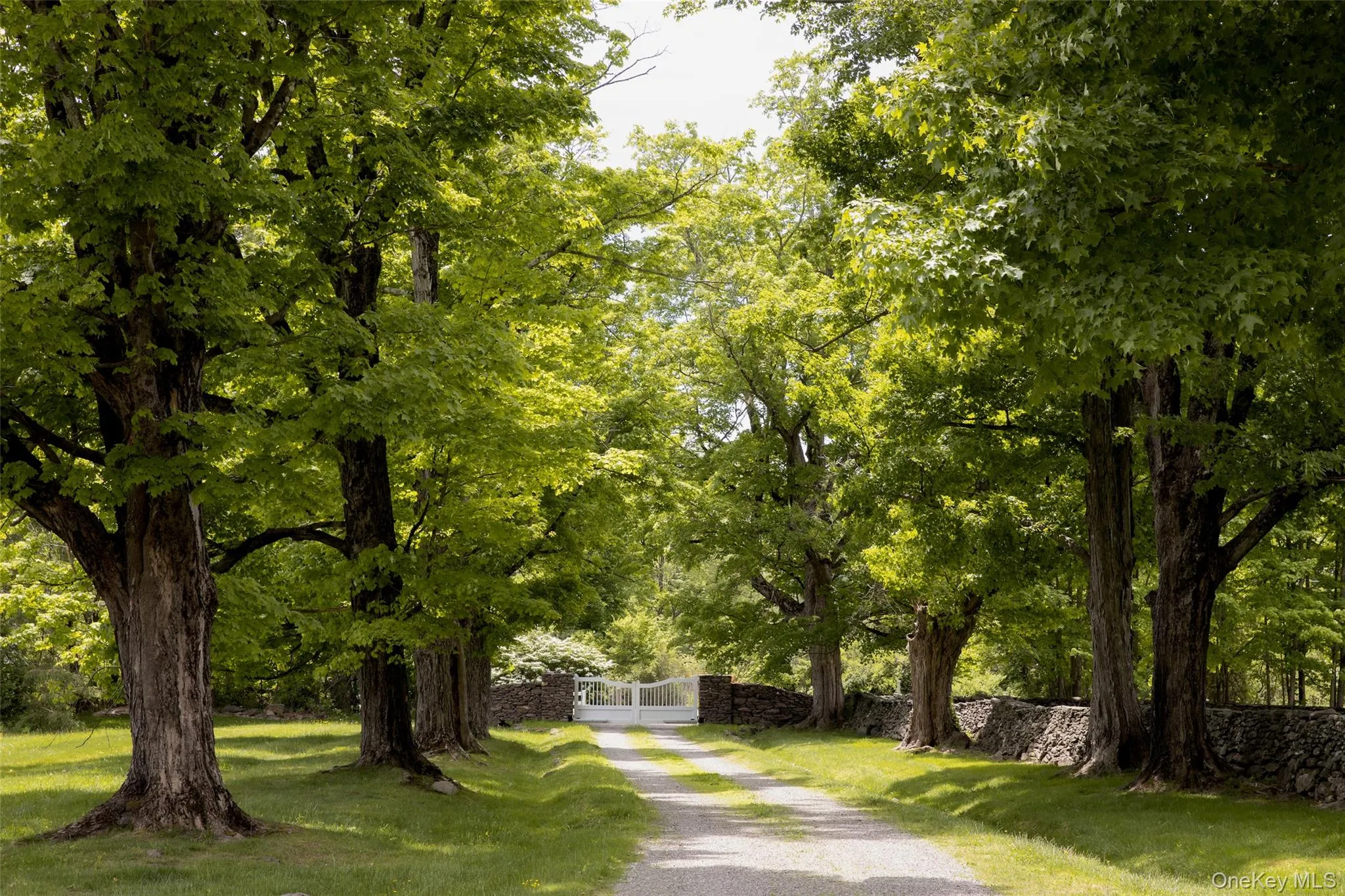 809 QUAKER HILL Road, Pawling, NY, 3 Bedrooms Bedrooms, 13 Rooms Rooms,3 BathroomsBathrooms,Residential,For Rent,QUAKER HILL,0,1005064 809 QUAKER HILL Road, Pawling, NY, 3 Bedrooms Bedrooms, 13 Rooms Rooms,3 BathroomsBathrooms,Residential,For Rent,QUAKER HILL,0,1005064