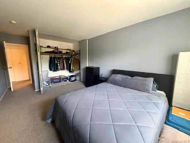 Huge closet in the bedroom Huge closet in the bedroom