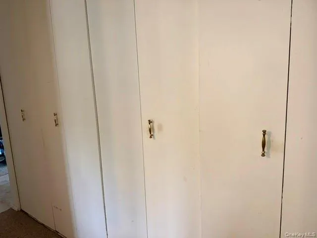 Floor to ceiling closets in the hall Floor to ceiling closets in the hall