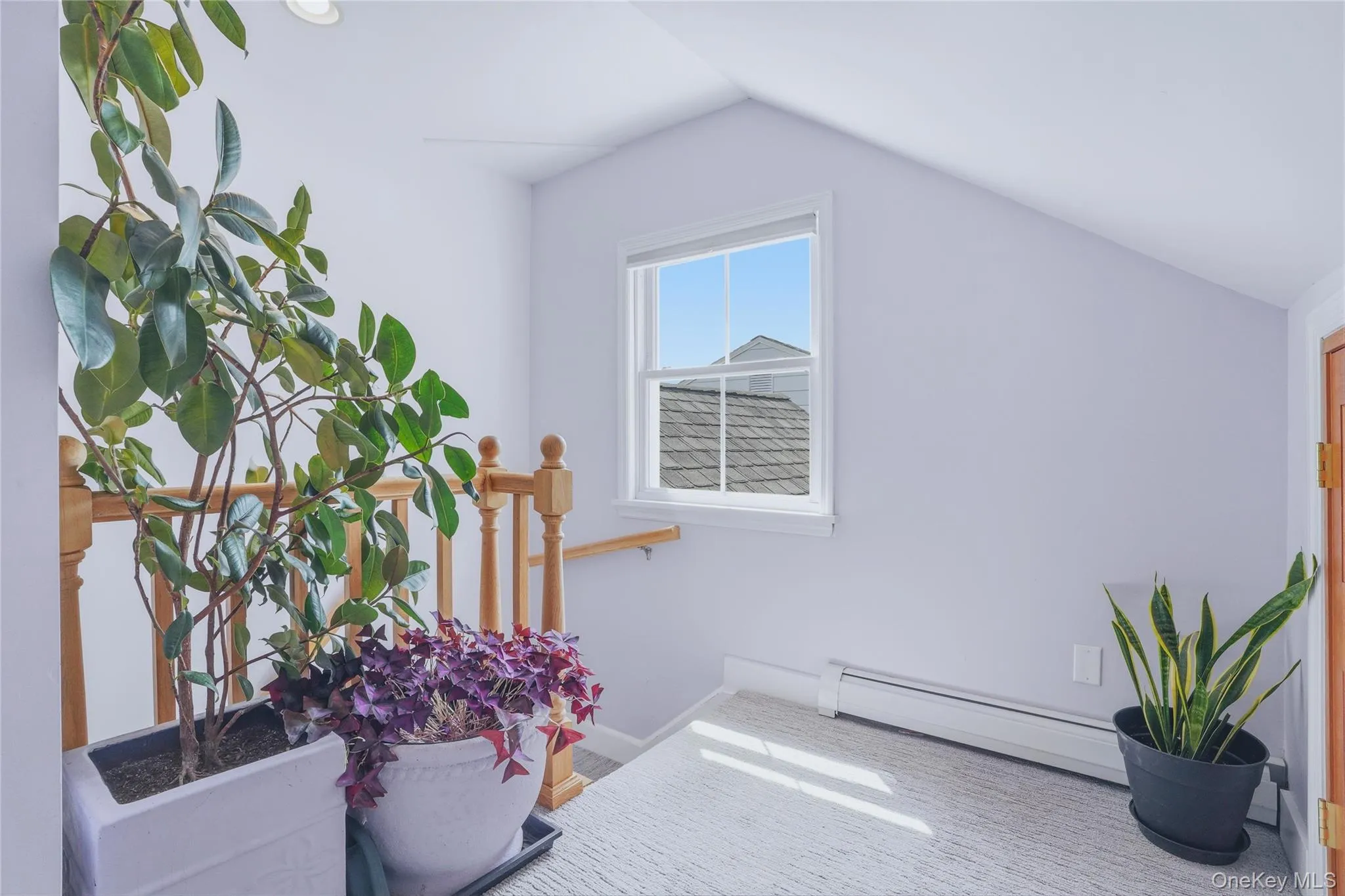 209 Sackett Street, Esopus, NY, 3 Bedrooms Bedrooms, 9 Rooms Rooms,3 BathroomsBathrooms,Residential,For Rent,Sackett,0,1005087 209 Sackett Street, Esopus, NY, 3 Bedrooms Bedrooms, 9 Rooms Rooms,3 BathroomsBathrooms,Residential,For Rent,Sackett,0,1005087