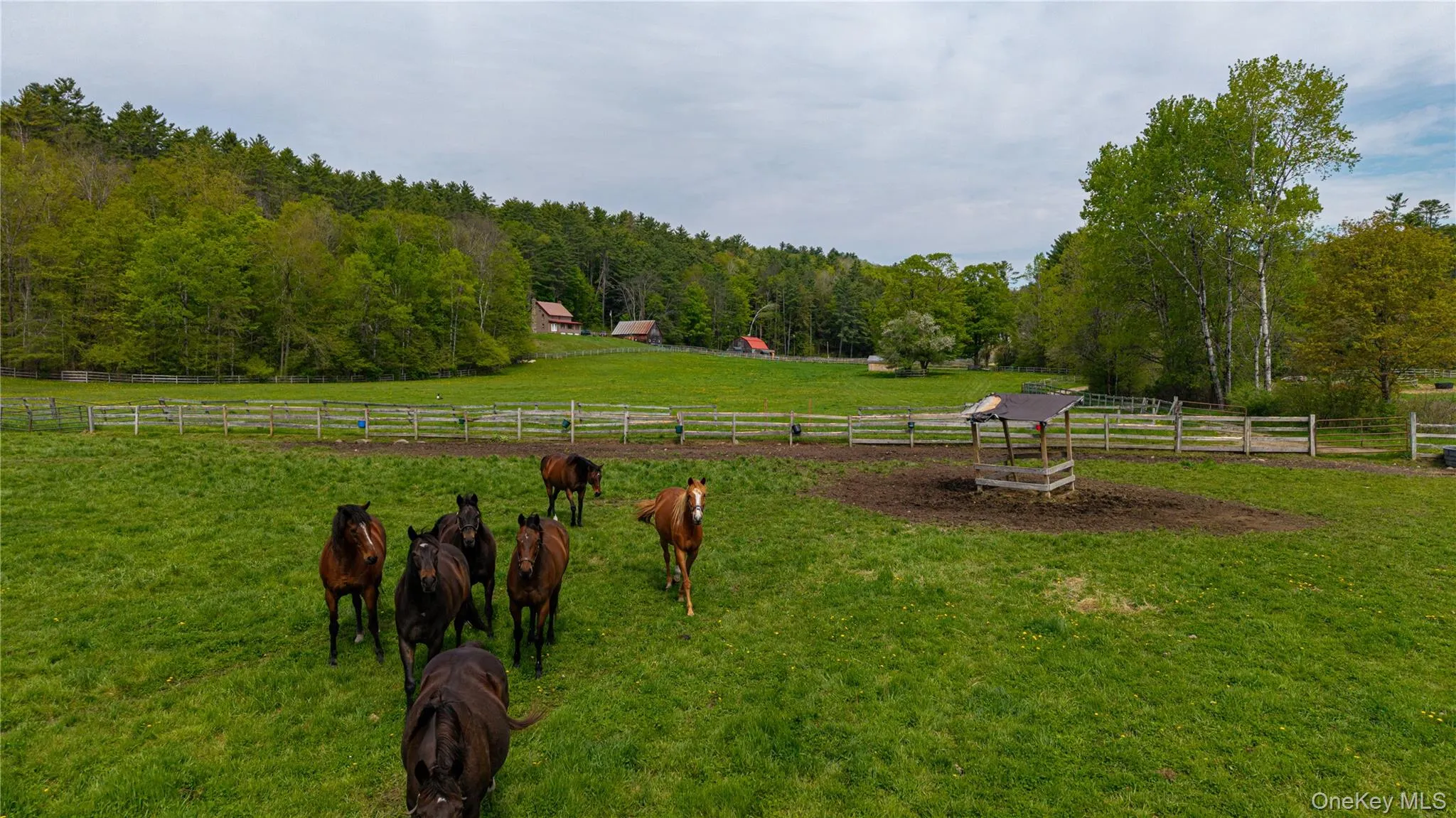 83 Pucker Street, Warrensburg, NY, 4 Bedrooms Bedrooms, 12 Rooms Rooms,2 BathroomsBathrooms,Residential,For Rent,Pucker,0,1005148 83 Pucker Street, Warrensburg, NY, 4 Bedrooms Bedrooms, 12 Rooms Rooms,2 BathroomsBathrooms,Residential,For Rent,Pucker,0,1005148
