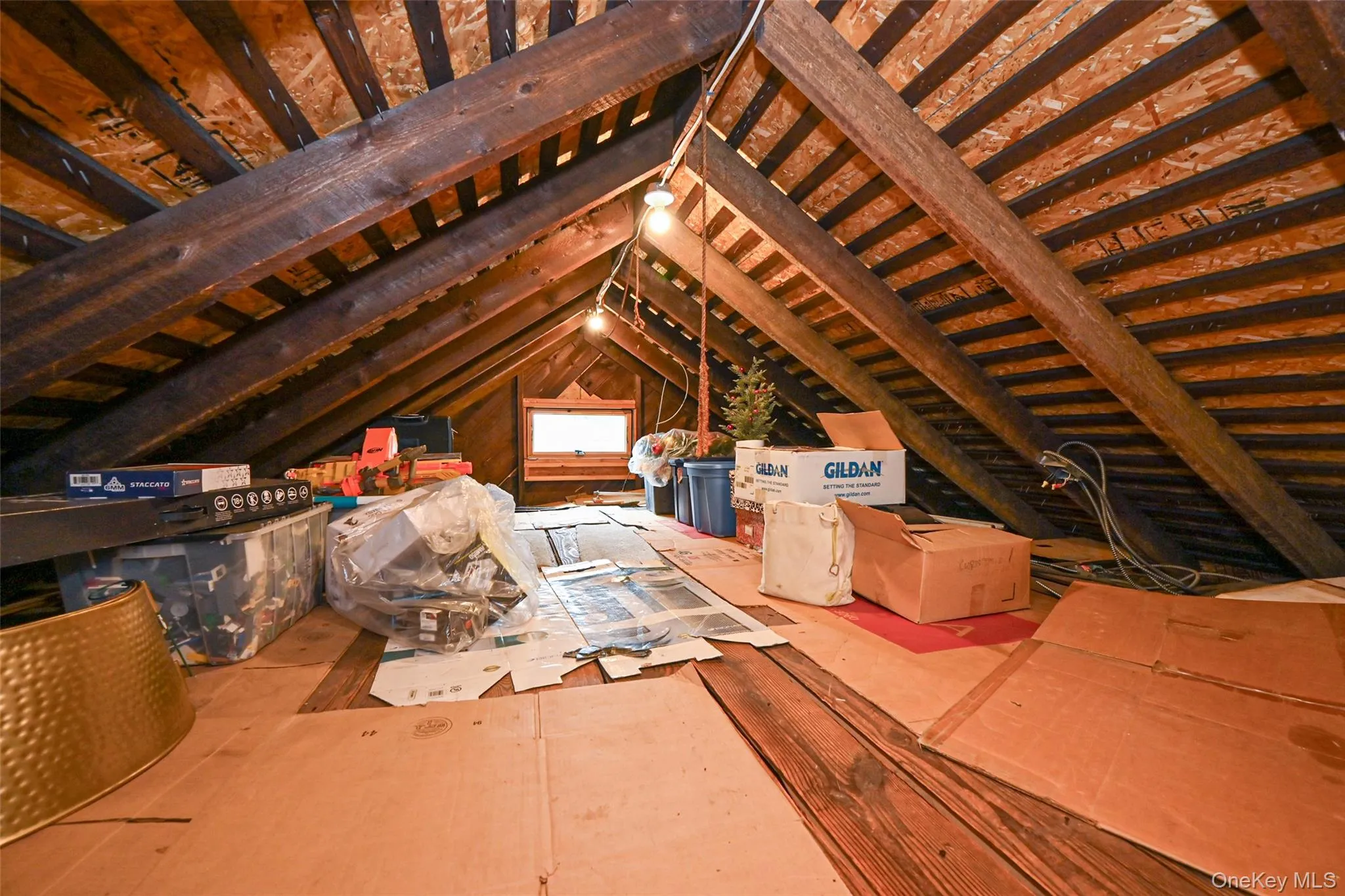 219-07 101st Avenue, New York, NY, 3 Bedrooms Bedrooms, 10 Rooms Rooms,2 BathroomsBathrooms,Residential,For Rent,101st,0,1005191 219-07 101st Avenue, New York, NY, 3 Bedrooms Bedrooms, 10 Rooms Rooms,2 BathroomsBathrooms,Residential,For Rent,101st,0,1005191
