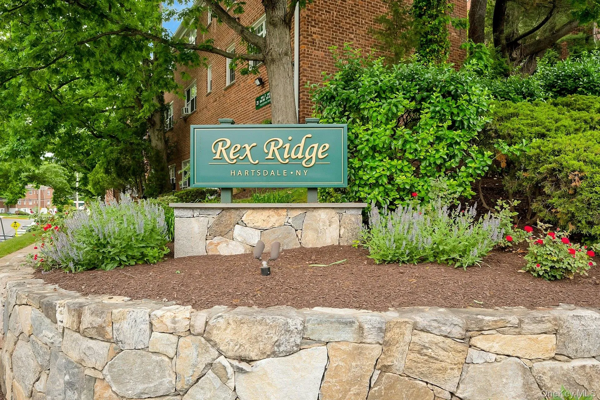 Rex Ridge Rex Ridge