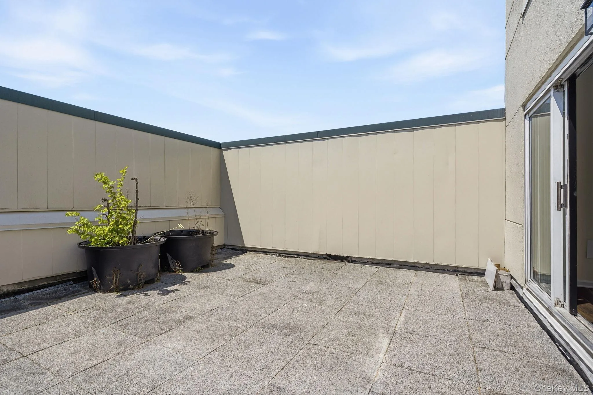 1 Landmark Square, Rye Town, NY, 1 Bedroom Bedrooms, 4 Rooms Rooms,1 BathroomBathrooms,Residential,For Rent,Landmark,0,1005203 1 Landmark Square, Rye Town, NY, 1 Bedroom Bedrooms, 4 Rooms Rooms,1 BathroomBathrooms,Residential,For Rent,Landmark,0,1005203