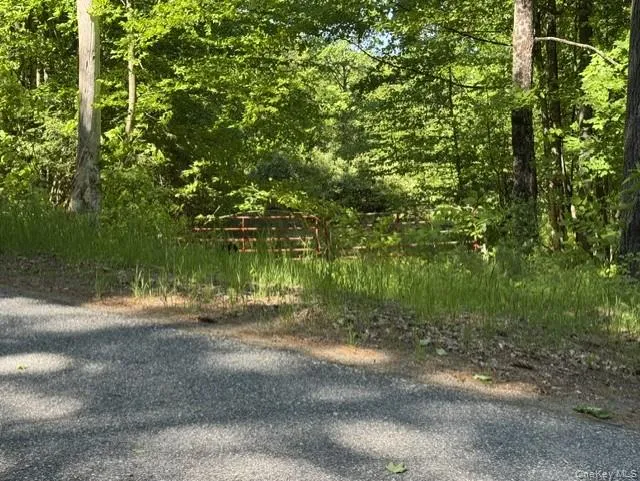 Pucker Street, Warrensburg, NY, ,Land,For Rent,Pucker,0,1005226 Pucker Street, Warrensburg, NY, ,Land,For Rent,Pucker,0,1005226