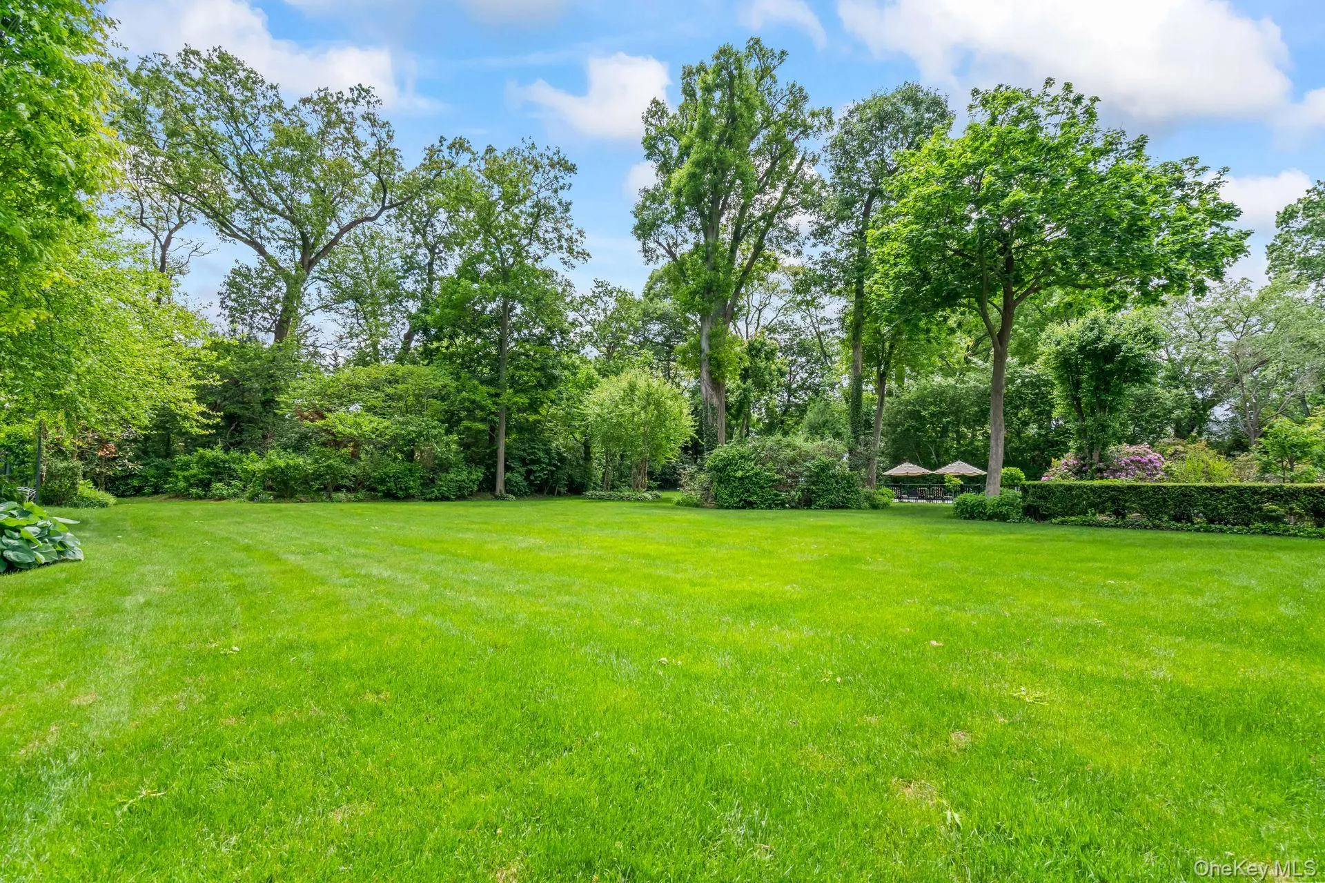 Side yard Side yard