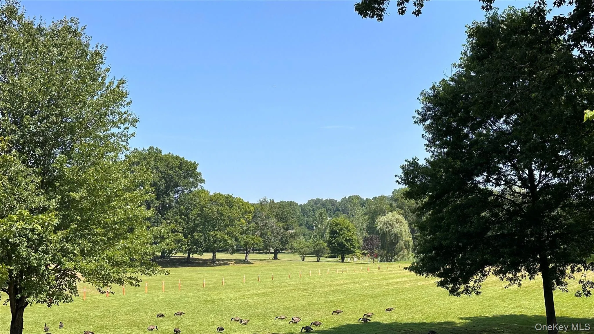 Tibbetts Brook ParK open to all Westchester Residents Tibbetts Brook ParK open to all Westchester Residents