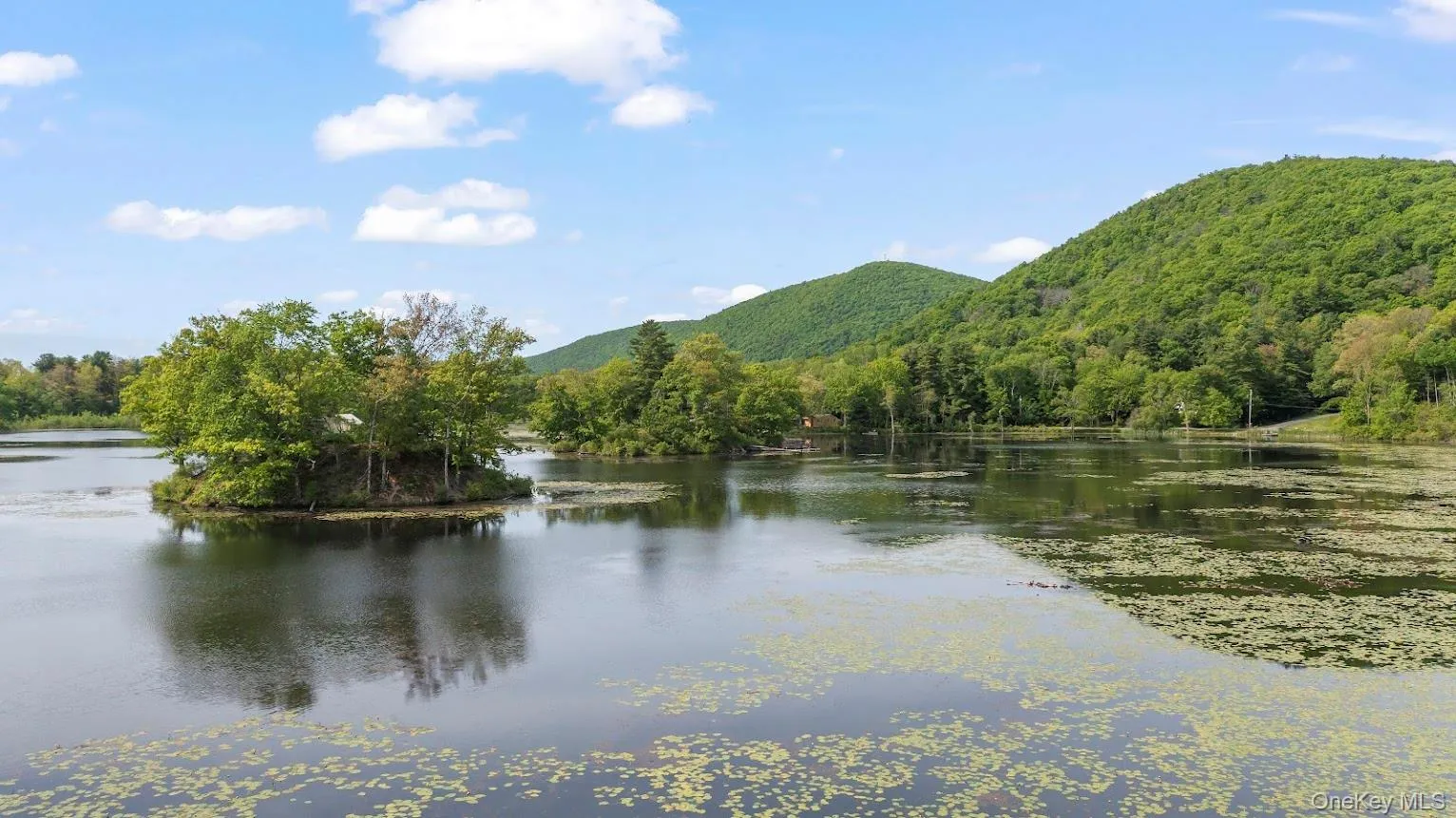 608 Lake Road, Pine Plains, NY, 3 Bedrooms Bedrooms, 8 Rooms Rooms,2 BathroomsBathrooms,Residential,For Rent,Lake,0,1005311 608 Lake Road, Pine Plains, NY, 3 Bedrooms Bedrooms, 8 Rooms Rooms,2 BathroomsBathrooms,Residential,For Rent,Lake,0,1005311