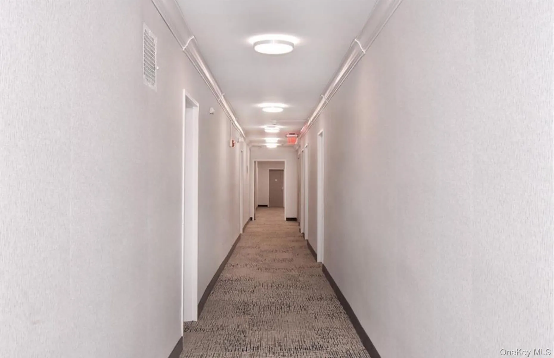 Recently Renovated Hallways and all Units have New Doors Recently Renovated Hallways and all Units have New Doors