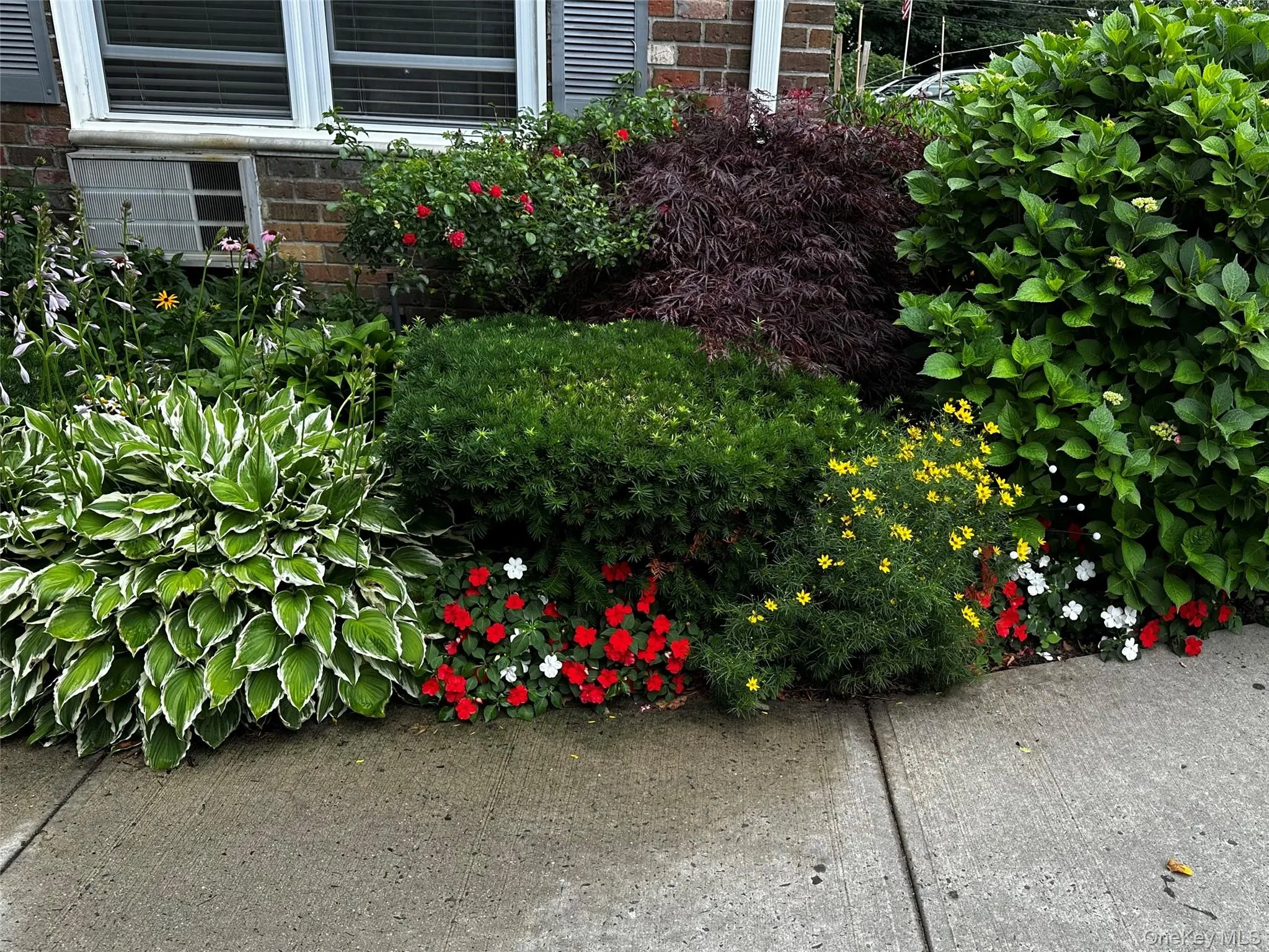 Gardens Gardens