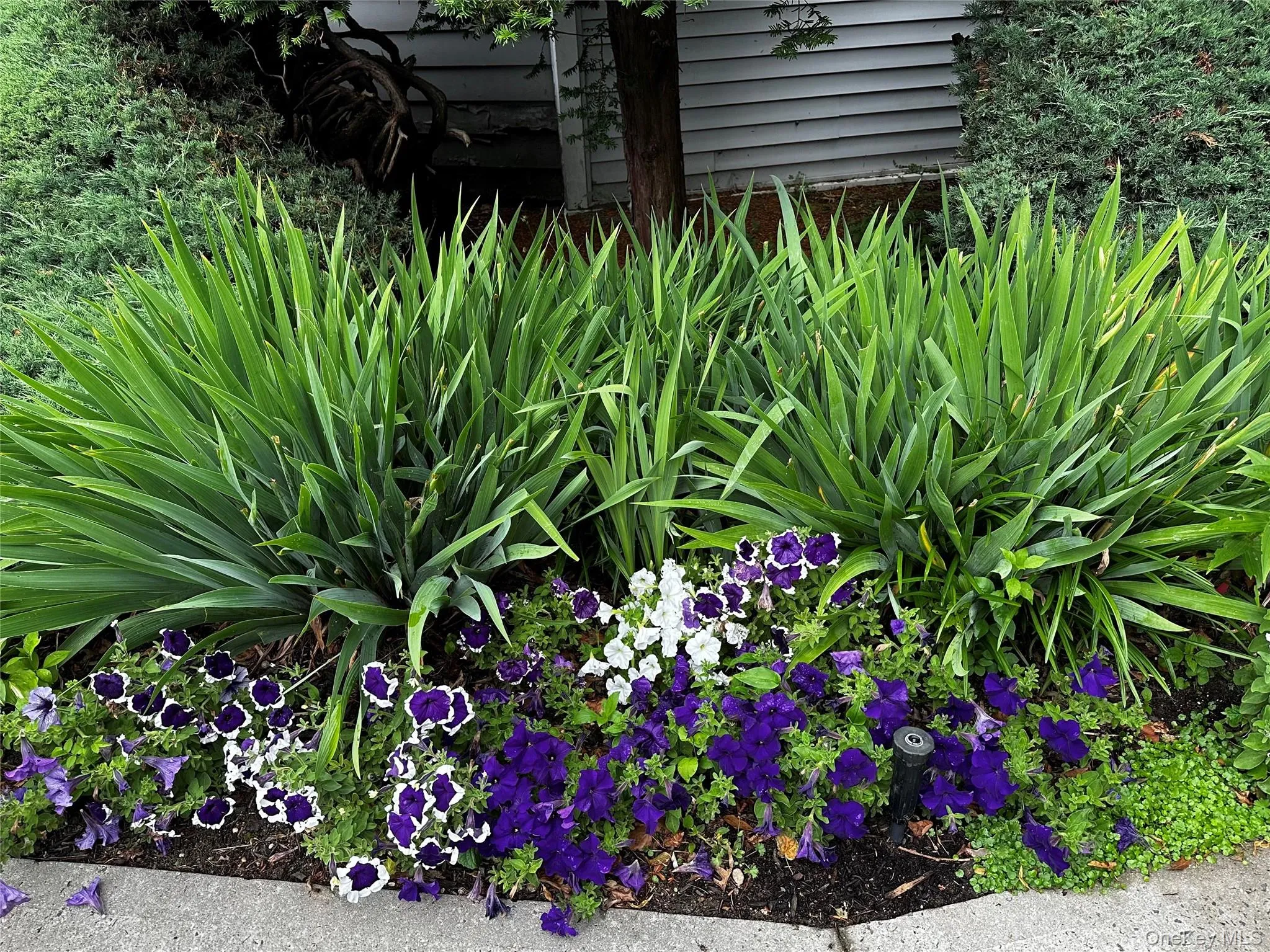 Gardens Gardens