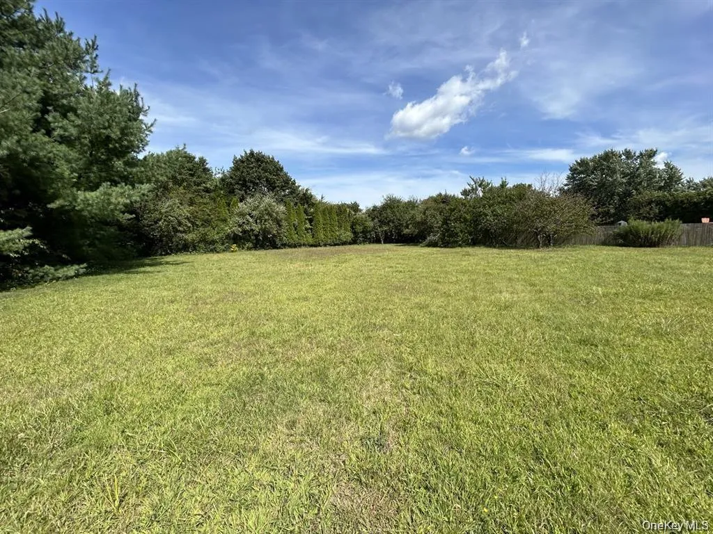 Beautiful yard with 5 Fruit Trees. Beautiful yard with 5 Fruit Trees.