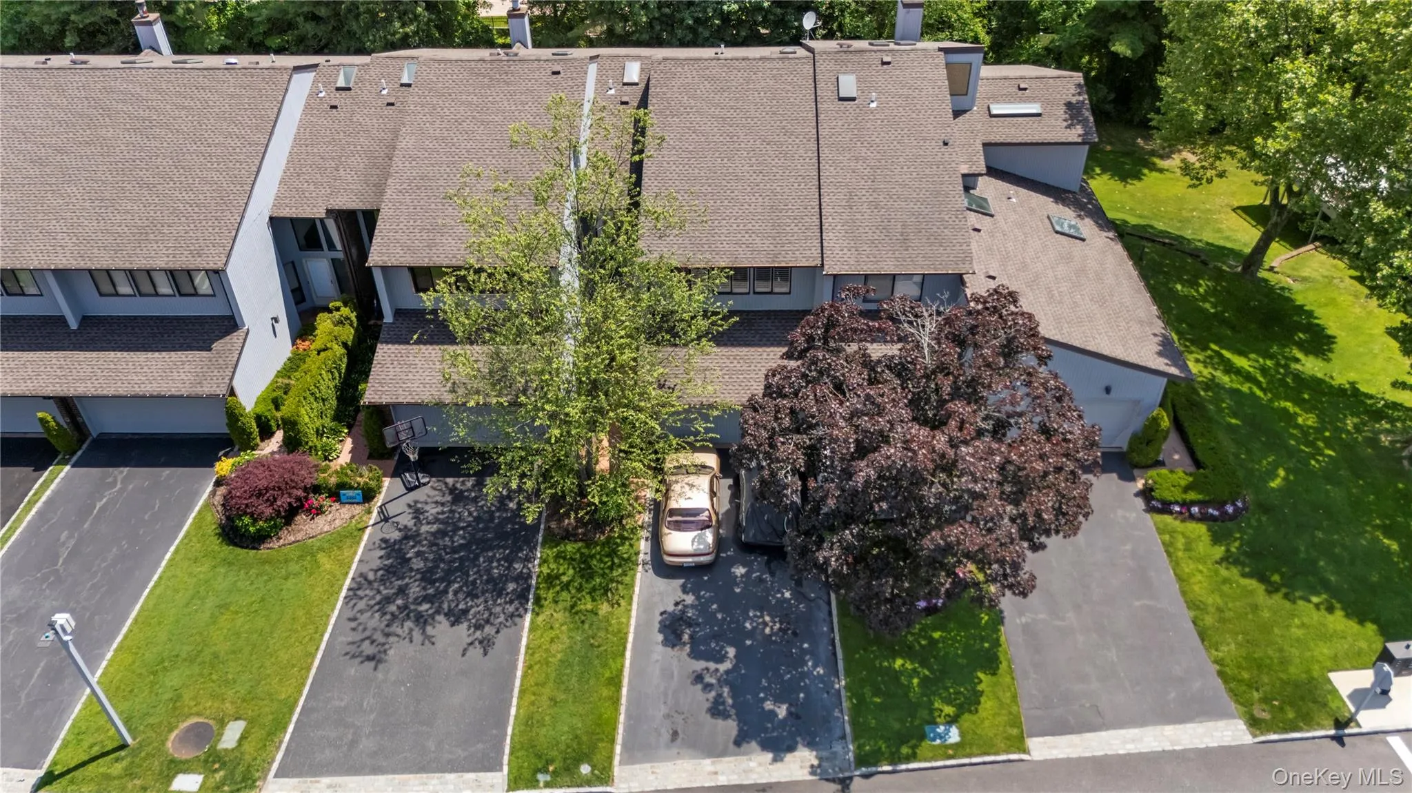 83 Foxwood Drive, Oyster Bay, NY, 3 Bedrooms Bedrooms, 11 Rooms Rooms,3 BathroomsBathrooms,Residential,For Rent,Foxwood,0,1005359 83 Foxwood Drive, Oyster Bay, NY, 3 Bedrooms Bedrooms, 11 Rooms Rooms,3 BathroomsBathrooms,Residential,For Rent,Foxwood,0,1005359