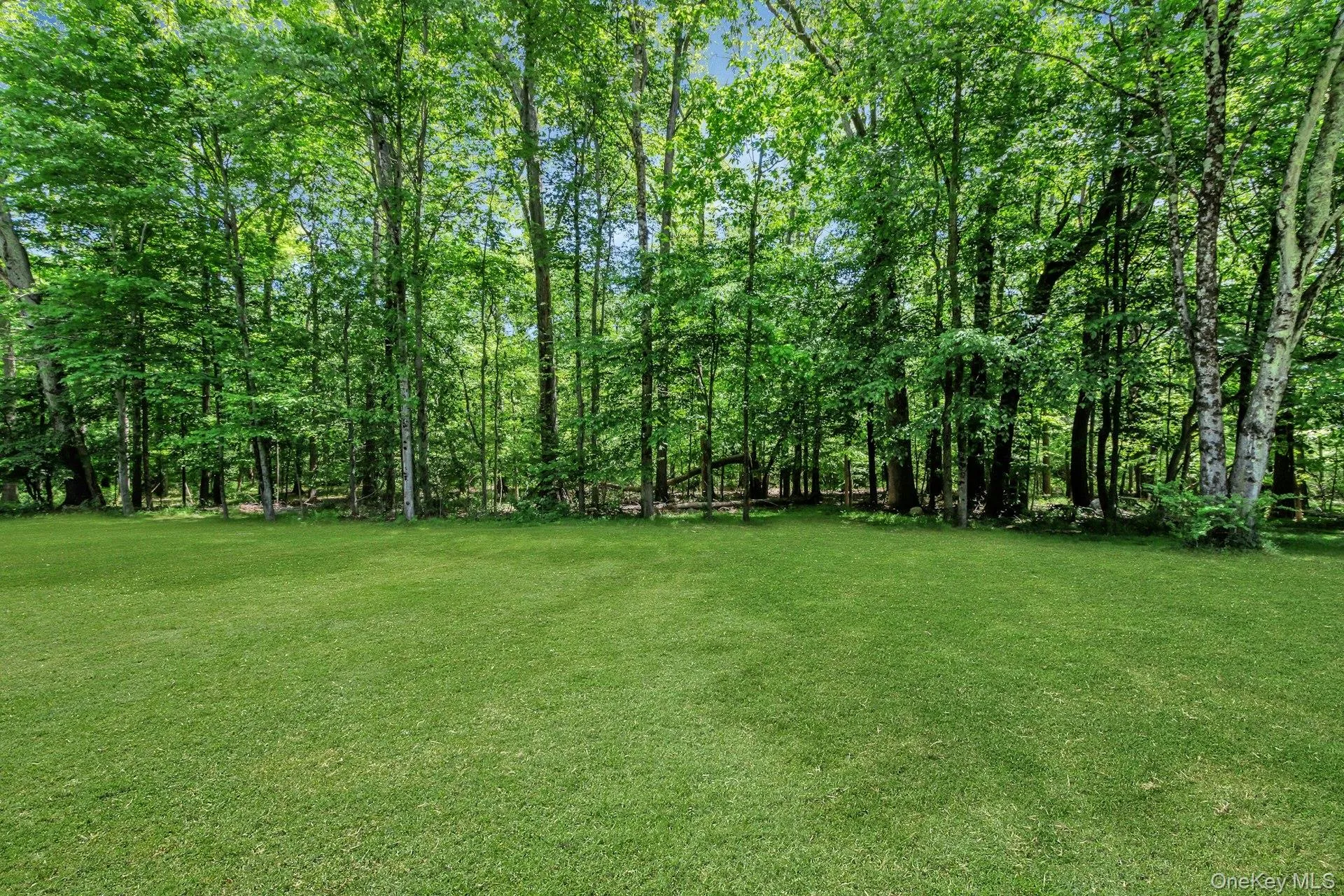 53 Bible Camp Road, Crawford, NY, 3 Bedrooms Bedrooms, 7 Rooms Rooms,1 BathroomBathrooms,Residential,For Rent,Bible Camp,0,1005388 53 Bible Camp Road, Crawford, NY, 3 Bedrooms Bedrooms, 7 Rooms Rooms,1 BathroomBathrooms,Residential,For Rent,Bible Camp,0,1005388