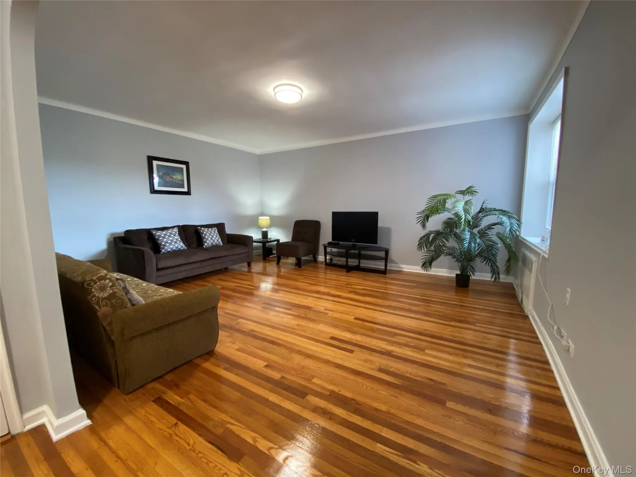 63-60 102nd Street, New York, NY, 1 Bedroom Bedrooms, 4 Rooms Rooms,1 BathroomBathrooms,Residential,For Rent,102nd,0,1005399 63-60 102nd Street, New York, NY, 1 Bedroom Bedrooms, 4 Rooms Rooms,1 BathroomBathrooms,Residential,For Rent,102nd,0,1005399