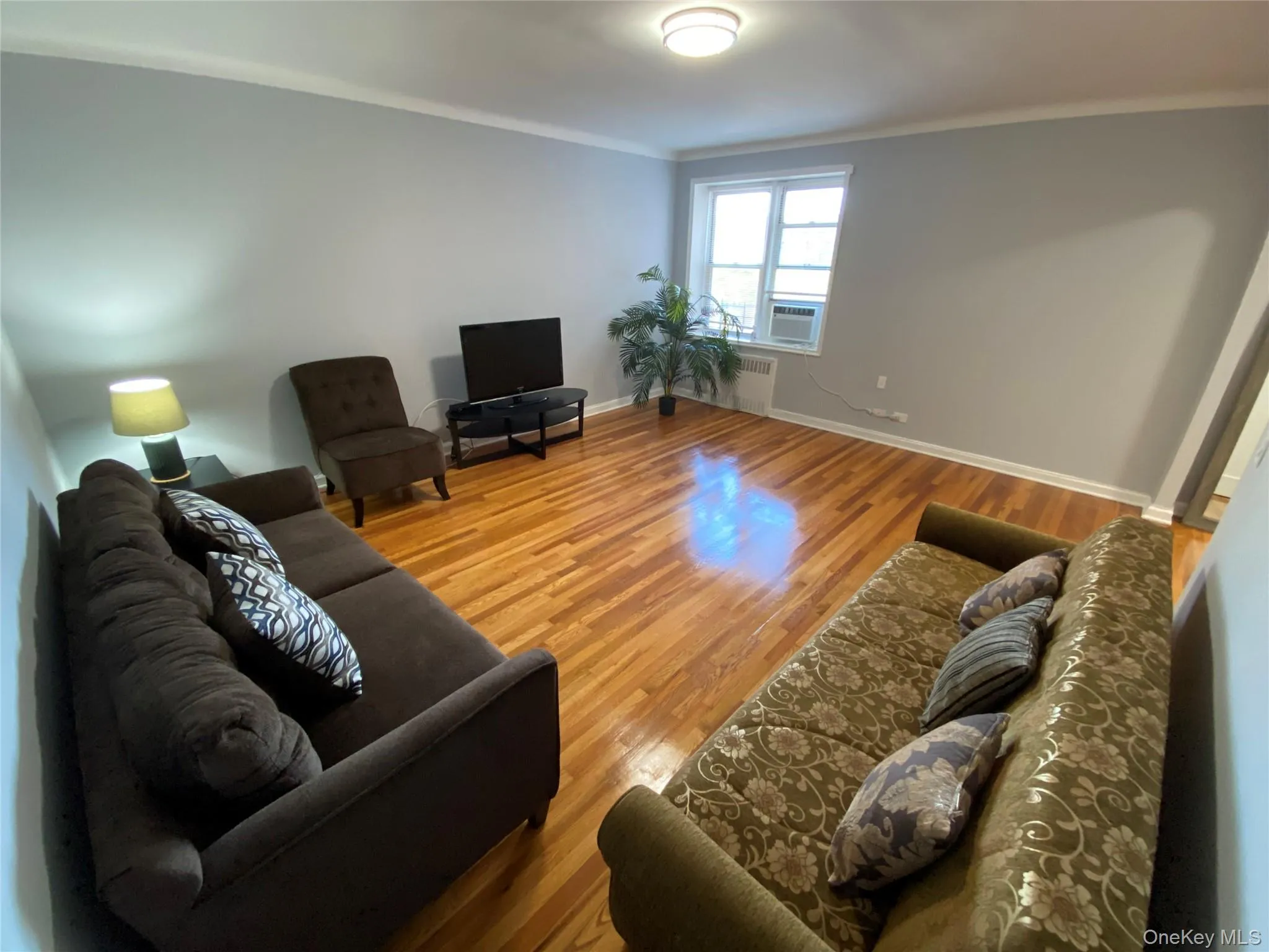 63-60 102nd Street, New York, NY, 1 Bedroom Bedrooms, 4 Rooms Rooms,1 BathroomBathrooms,Residential,For Rent,102nd,0,1005399 63-60 102nd Street, New York, NY, 1 Bedroom Bedrooms, 4 Rooms Rooms,1 BathroomBathrooms,Residential,For Rent,102nd,0,1005399