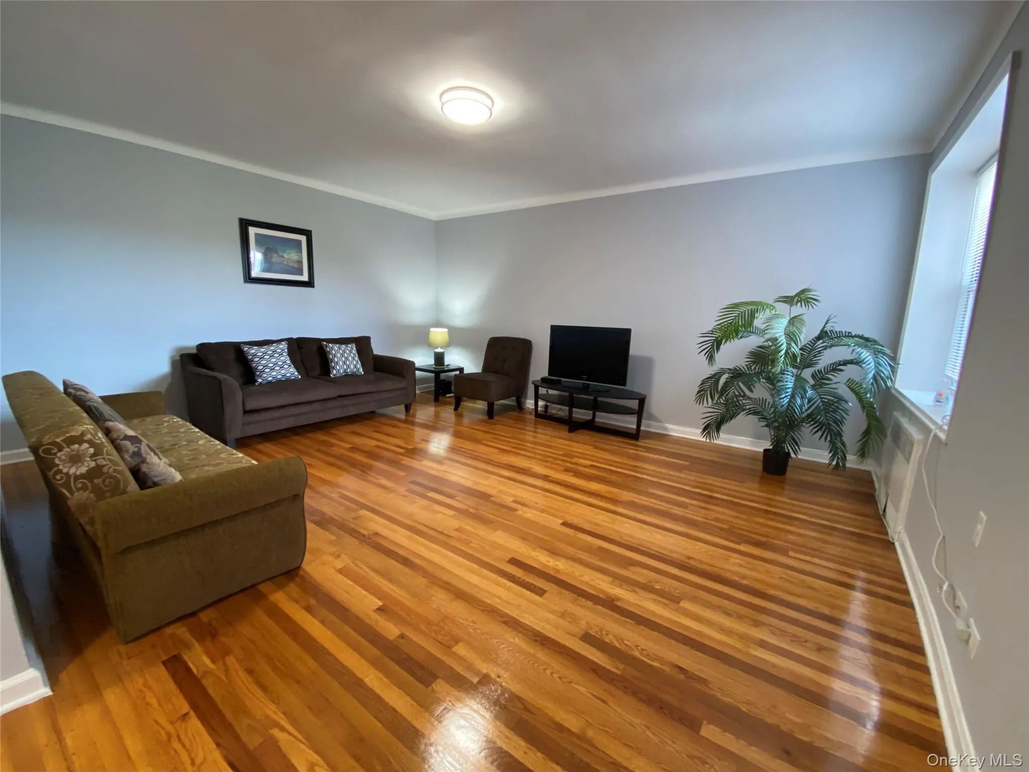 63-60 102nd Street, New York, NY, 1 Bedroom Bedrooms, 4 Rooms Rooms,1 BathroomBathrooms,Residential,For Rent,102nd,0,1005399 63-60 102nd Street, New York, NY, 1 Bedroom Bedrooms, 4 Rooms Rooms,1 BathroomBathrooms,Residential,For Rent,102nd,0,1005399