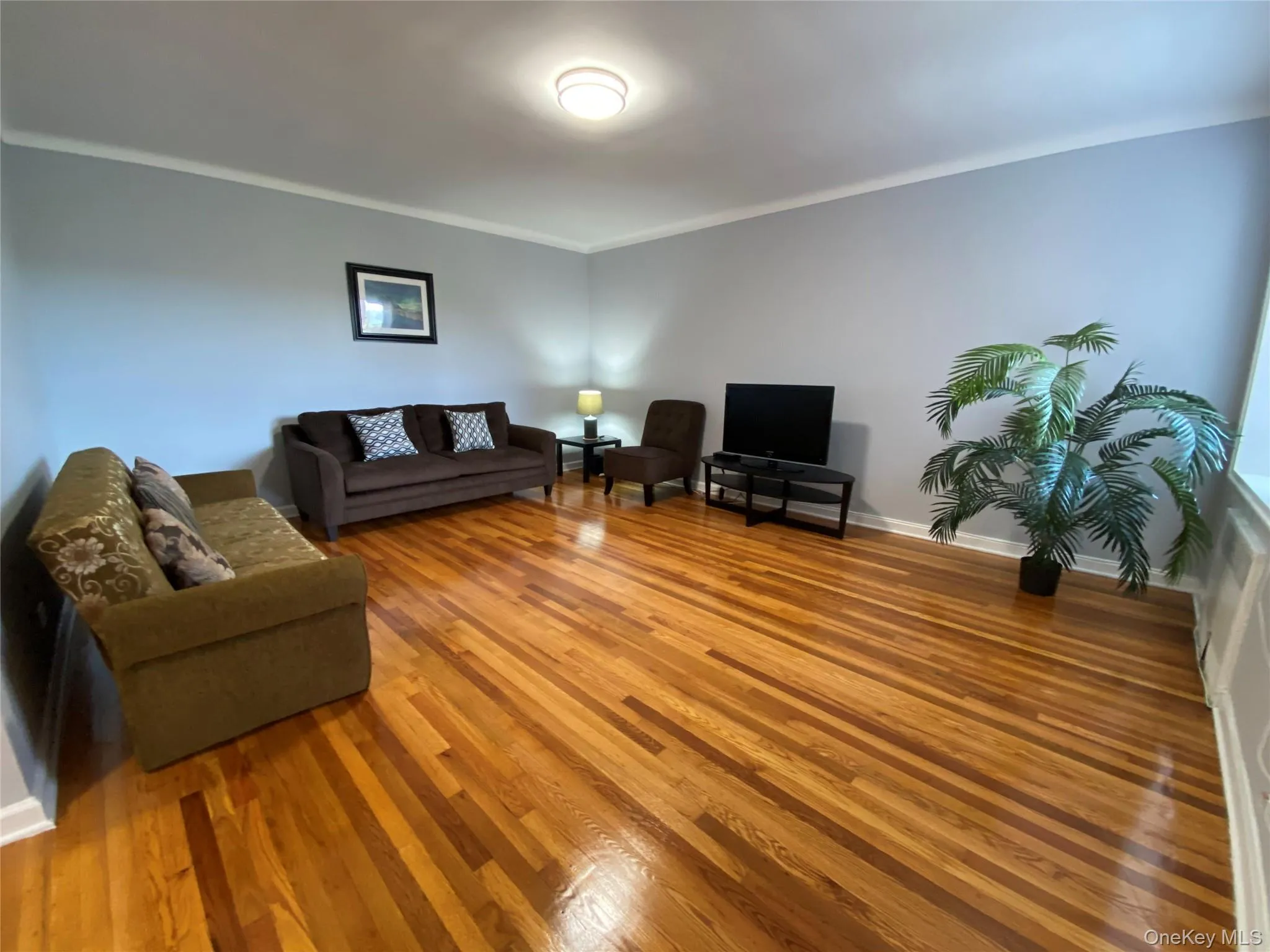 63-60 102nd Street, New York, NY, 1 Bedroom Bedrooms, 4 Rooms Rooms,1 BathroomBathrooms,Residential,For Rent,102nd,0,1005399 63-60 102nd Street, New York, NY, 1 Bedroom Bedrooms, 4 Rooms Rooms,1 BathroomBathrooms,Residential,For Rent,102nd,0,1005399