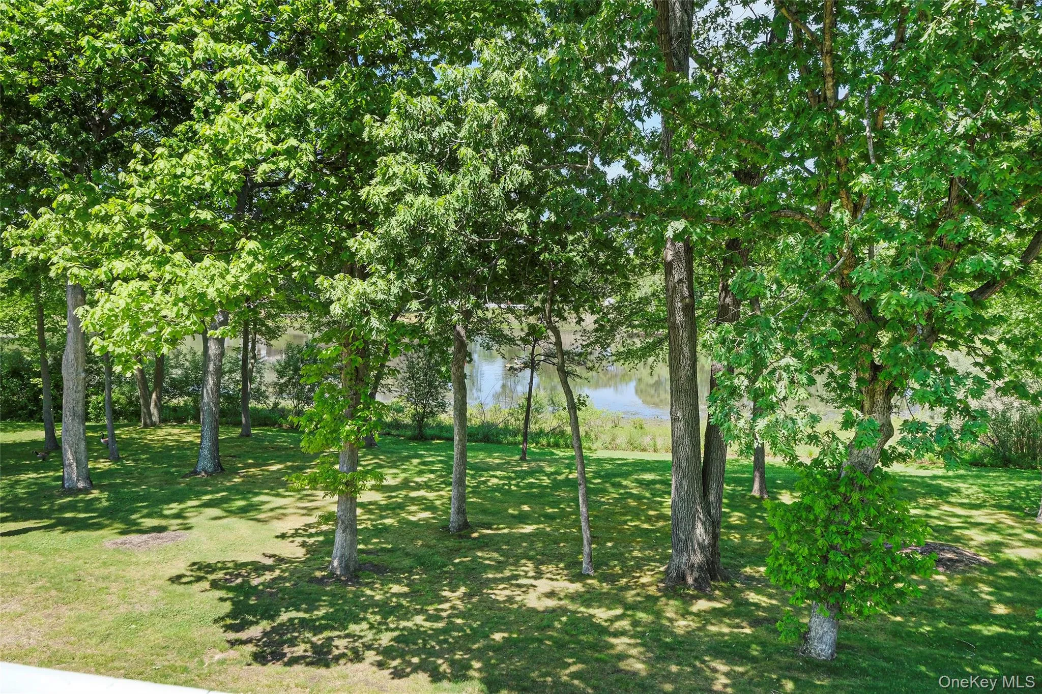 230 Lake Pointe Circle, Brookhaven, NY, 2 Bedrooms Bedrooms, 4 Rooms Rooms,1 BathroomBathrooms,Residential,For Rent,Lake Pointe,0,1005405 230 Lake Pointe Circle, Brookhaven, NY, 2 Bedrooms Bedrooms, 4 Rooms Rooms,1 BathroomBathrooms,Residential,For Rent,Lake Pointe,0,1005405