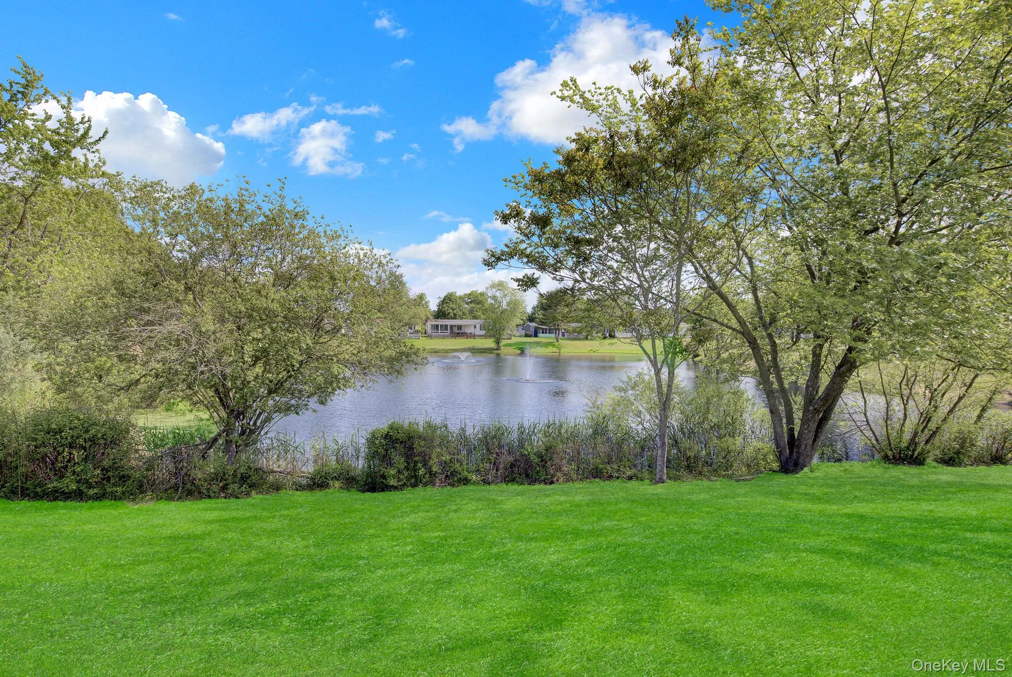 Expansive green lawn with mature trees bordering a serene pond Expansive green lawn with mature trees bordering a serene pond