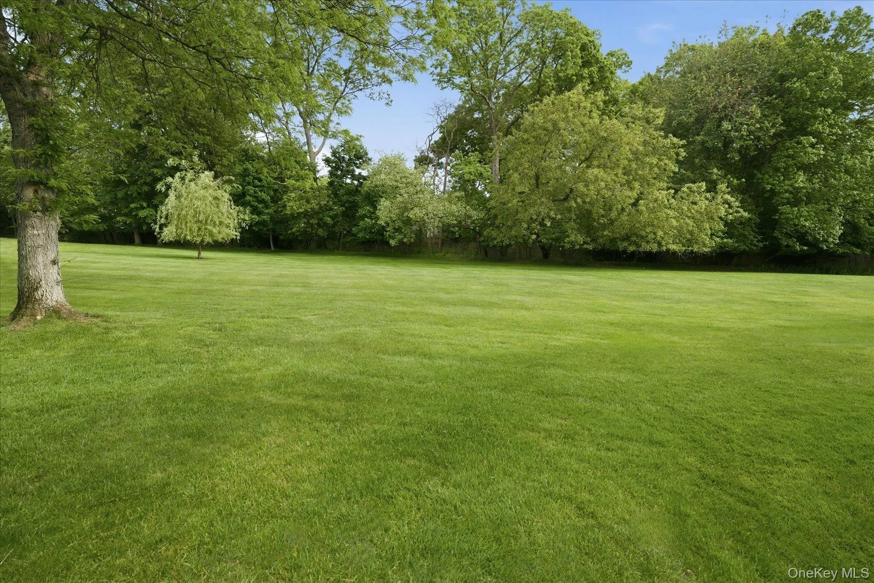 79 Pond Lane, Smithtown, NY, 2 Bedrooms Bedrooms, 5 Rooms Rooms,1 BathroomBathrooms,Residential,For Rent,Pond,0,1005438 79 Pond Lane, Smithtown, NY, 2 Bedrooms Bedrooms, 5 Rooms Rooms,1 BathroomBathrooms,Residential,For Rent,Pond,0,1005438