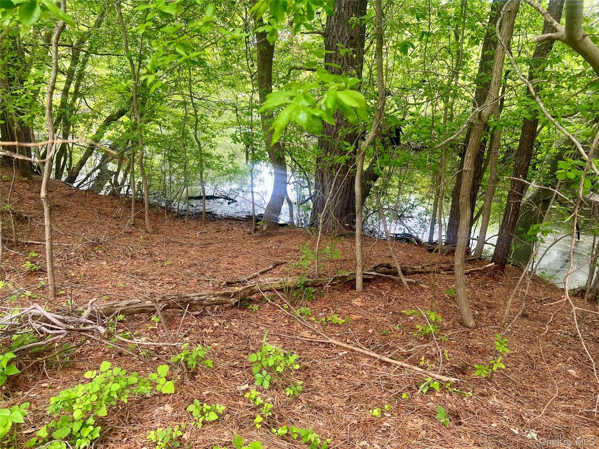 40 4th Street, Brookhaven, NY, 2 Bedrooms Bedrooms, 5 Rooms Rooms,1 BathroomBathrooms,Residential,For Rent,4th,0,1005460 40 4th Street, Brookhaven, NY, 2 Bedrooms Bedrooms, 5 Rooms Rooms,1 BathroomBathrooms,Residential,For Rent,4th,0,1005460