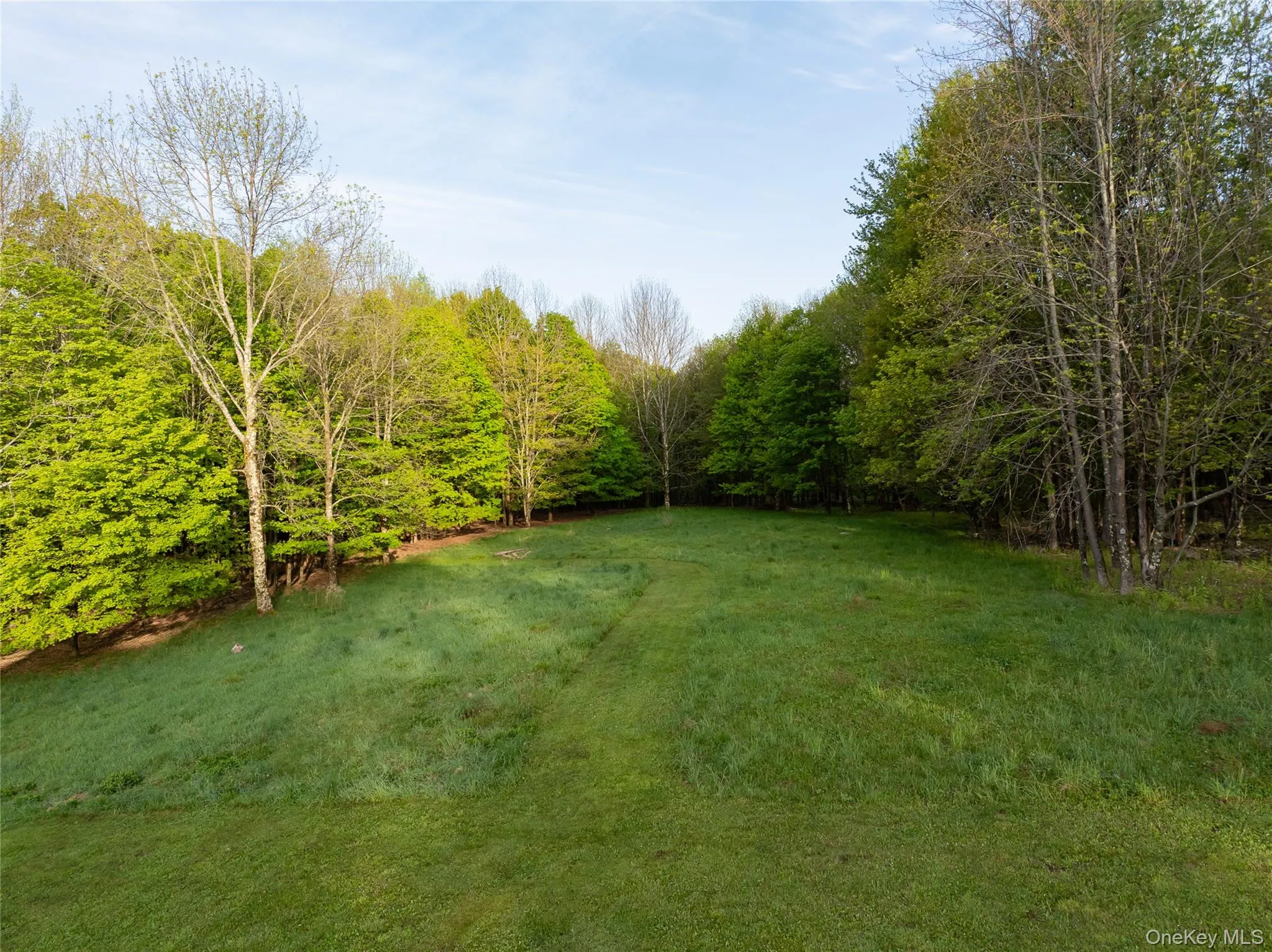 49 Yaun Road, Callicoon, NY, 3 Bedrooms Bedrooms, 10 Rooms Rooms,2 BathroomsBathrooms,Residential,For Rent,Yaun,0,1005481 49 Yaun Road, Callicoon, NY, 3 Bedrooms Bedrooms, 10 Rooms Rooms,2 BathroomsBathrooms,Residential,For Rent,Yaun,0,1005481