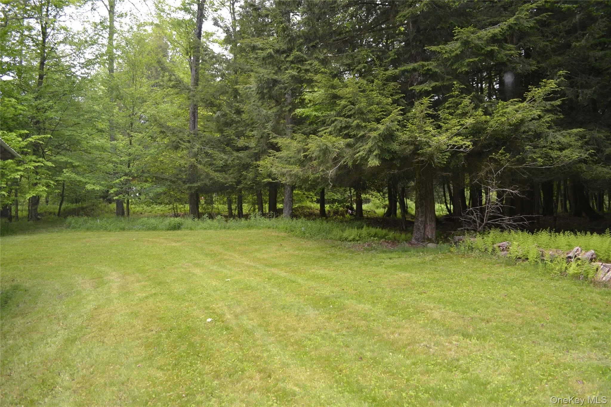 No neighbors in sight! No neighbors in sight!