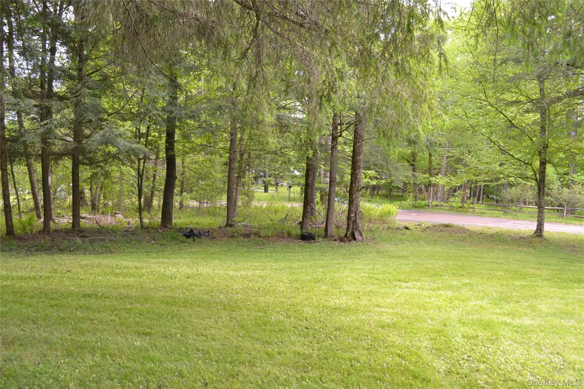 Serene, lighly wooded yard Serene, lighly wooded yard