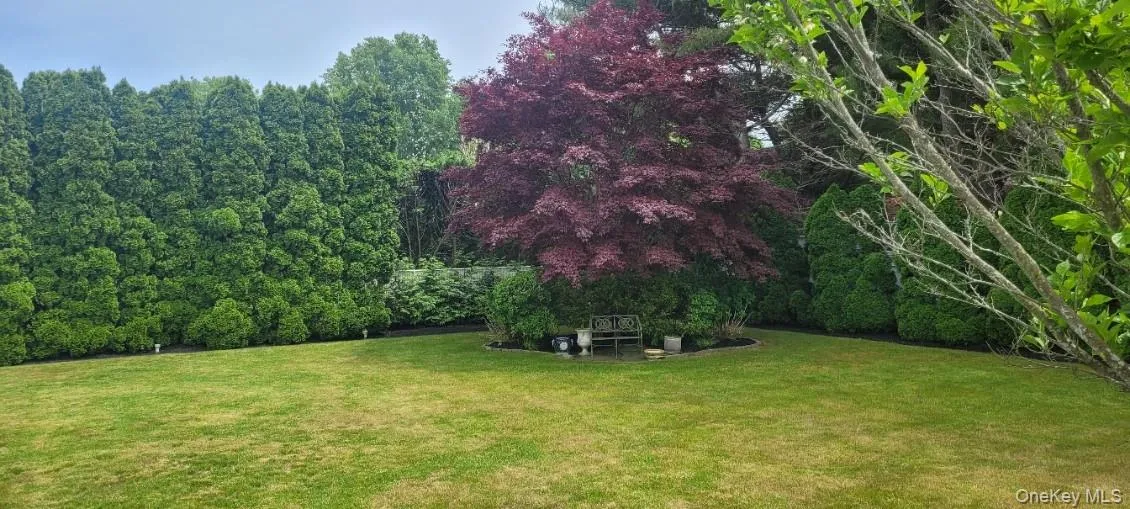 312 Riley Avenue, Riverhead, NY, 3 Bedrooms Bedrooms, 6 Rooms Rooms,2 BathroomsBathrooms,Residential,For Rent,Riley,0,1005568 312 Riley Avenue, Riverhead, NY, 3 Bedrooms Bedrooms, 6 Rooms Rooms,2 BathroomsBathrooms,Residential,For Rent,Riley,0,1005568