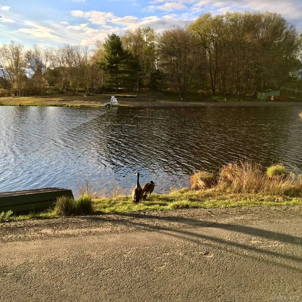 35 Cumberland Trail, Bethel, NY, 2 Bedrooms Bedrooms, 5 Rooms Rooms,1 BathroomBathrooms,Residential,For Rent,Cumberland,0,1005594 35 Cumberland Trail, Bethel, NY, 2 Bedrooms Bedrooms, 5 Rooms Rooms,1 BathroomBathrooms,Residential,For Rent,Cumberland,0,1005594