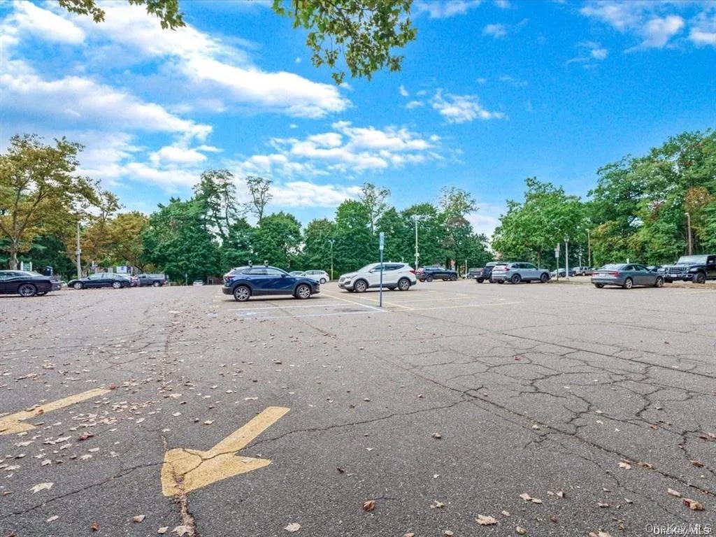 56 Edwards Street, North Hempstead, NY, 1 Bedroom Bedrooms, 3 Rooms Rooms,1 BathroomBathrooms,Residential,For Rent,Edwards,0,1005595 56 Edwards Street, North Hempstead, NY, 1 Bedroom Bedrooms, 3 Rooms Rooms,1 BathroomBathrooms,Residential,For Rent,Edwards,0,1005595