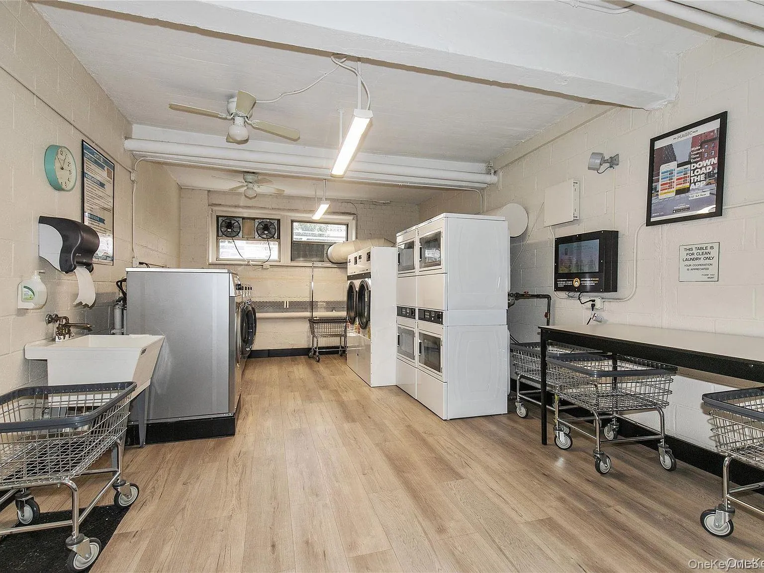 45 HILLPARK Avenue, North Hempstead, NY, 2 Bedrooms Bedrooms, 4 Rooms Rooms,1 BathroomBathrooms,Residential,For Rent,HILLPARK,0,1005668 45 HILLPARK Avenue, North Hempstead, NY, 2 Bedrooms Bedrooms, 4 Rooms Rooms,1 BathroomBathrooms,Residential,For Rent,HILLPARK,0,1005668