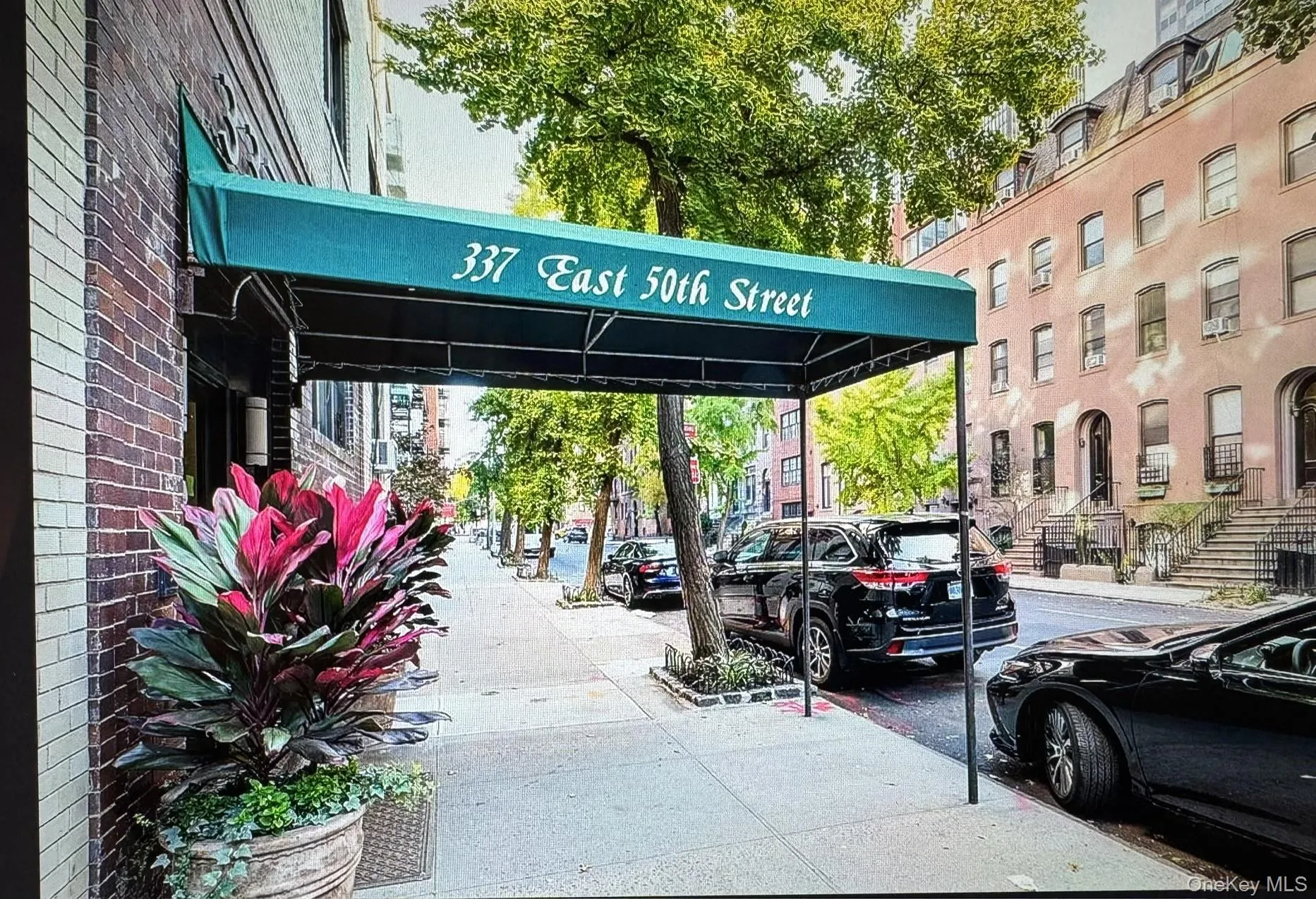 337 50th Street, New York, NY, 2 Bedrooms Bedrooms, 6 Rooms Rooms,2 BathroomsBathrooms,Residential,For Rent,50th,0,1005682 337 50th Street, New York, NY, 2 Bedrooms Bedrooms, 6 Rooms Rooms,2 BathroomsBathrooms,Residential,For Rent,50th,0,1005682