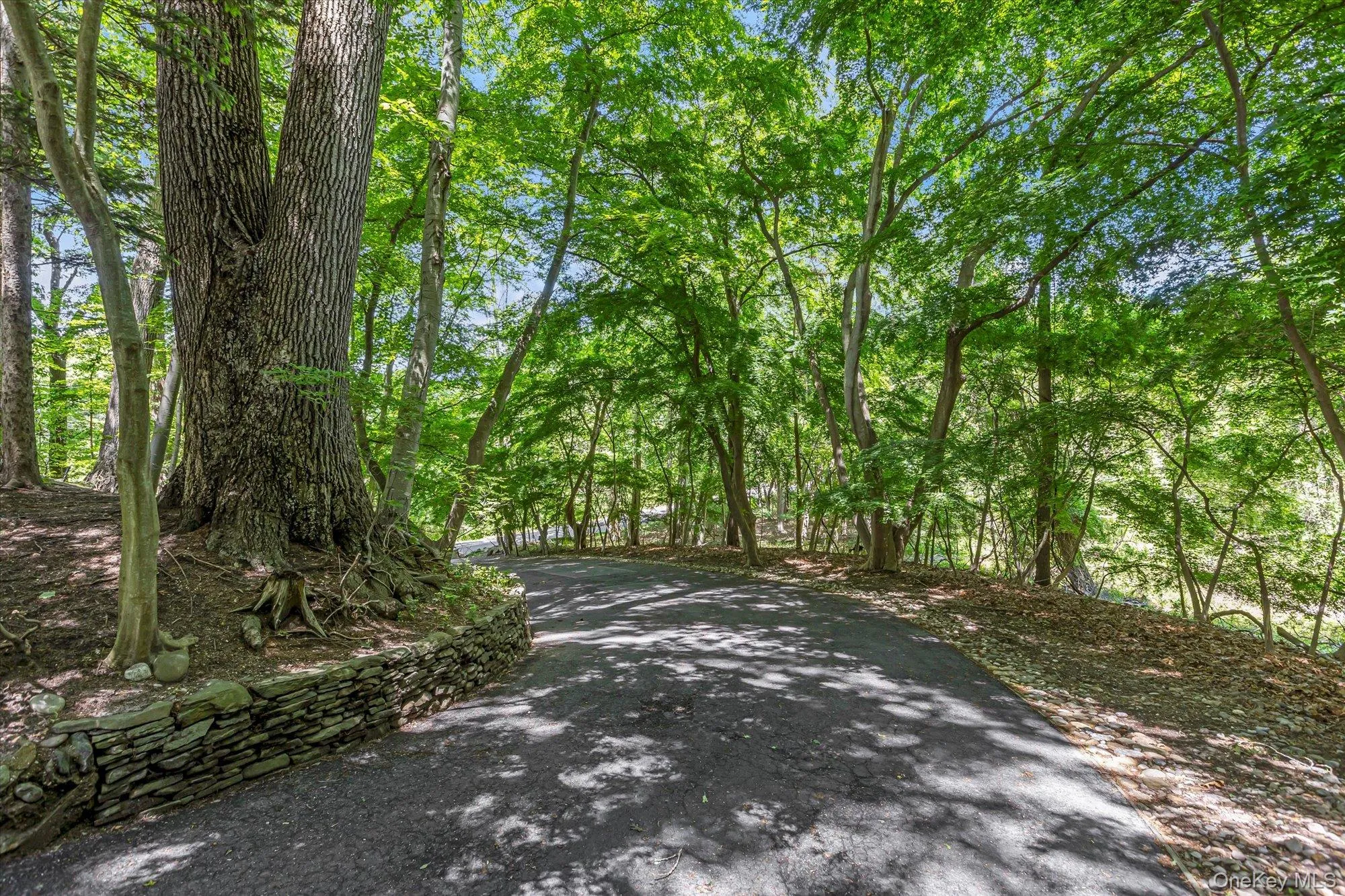 58 Makamah Road, Huntington, NY, 4 Bedrooms Bedrooms, 11 Rooms Rooms,3 BathroomsBathrooms,Residential,For Rent,Makamah,0,1005684 58 Makamah Road, Huntington, NY, 4 Bedrooms Bedrooms, 11 Rooms Rooms,3 BathroomsBathrooms,Residential,For Rent,Makamah,0,1005684
