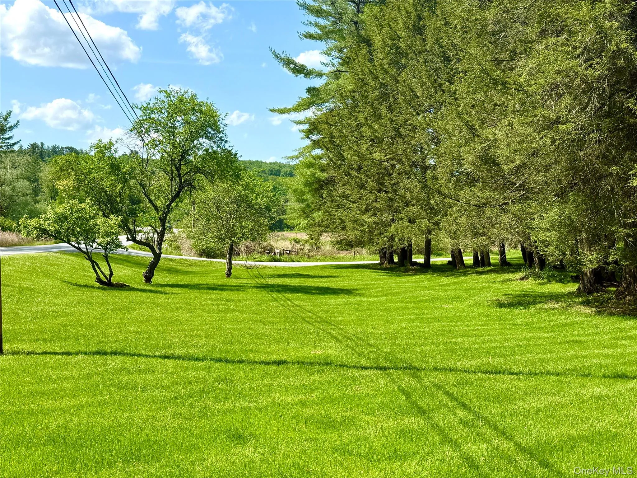 12 Mesmer, Delaware, NY, 3 Bedrooms Bedrooms, 6 Rooms Rooms,2 BathroomsBathrooms,Residential,For Rent,Mesmer,0,1005698 12 Mesmer, Delaware, NY, 3 Bedrooms Bedrooms, 6 Rooms Rooms,2 BathroomsBathrooms,Residential,For Rent,Mesmer,0,1005698